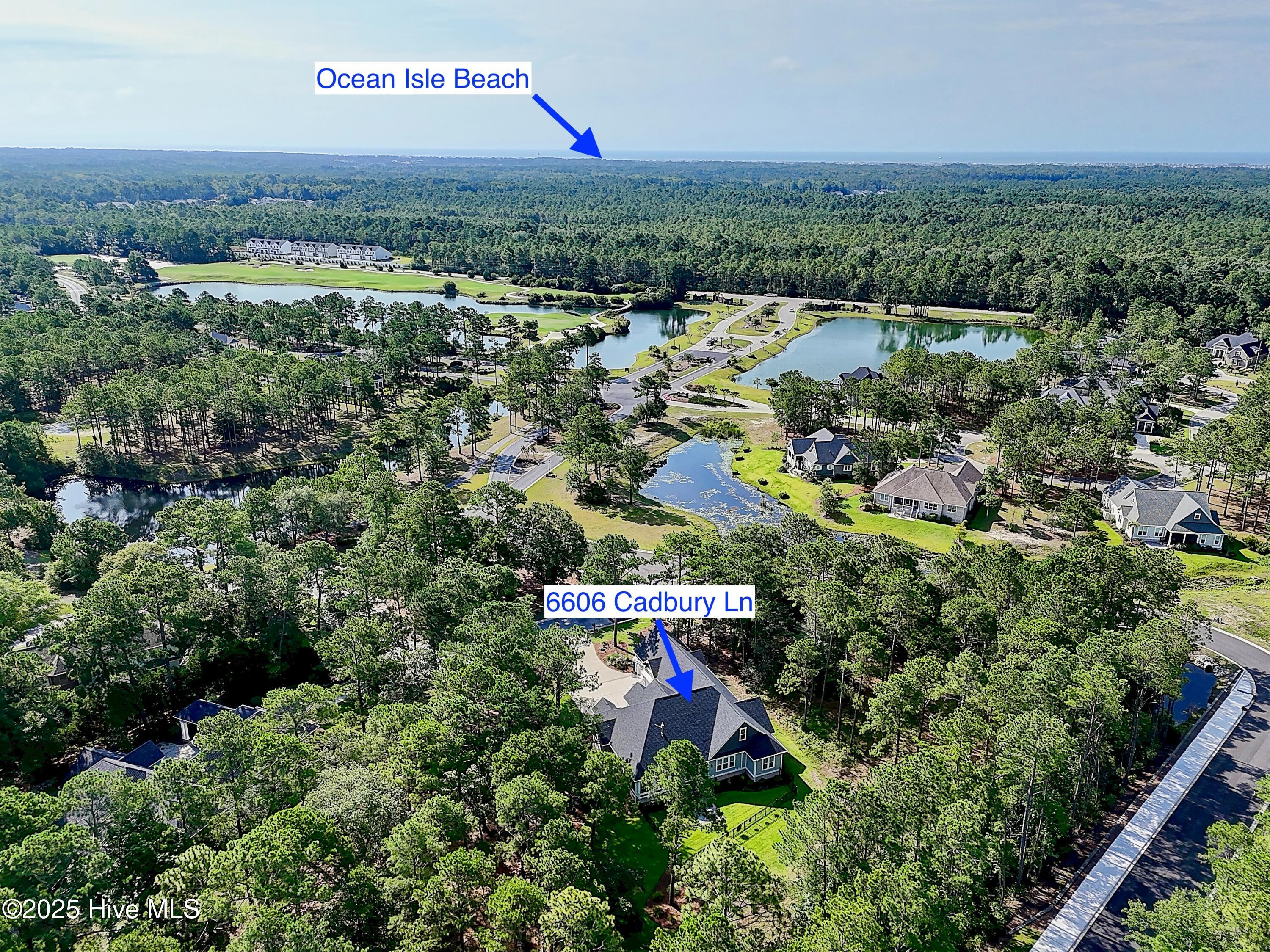 100518411 | Photo 61