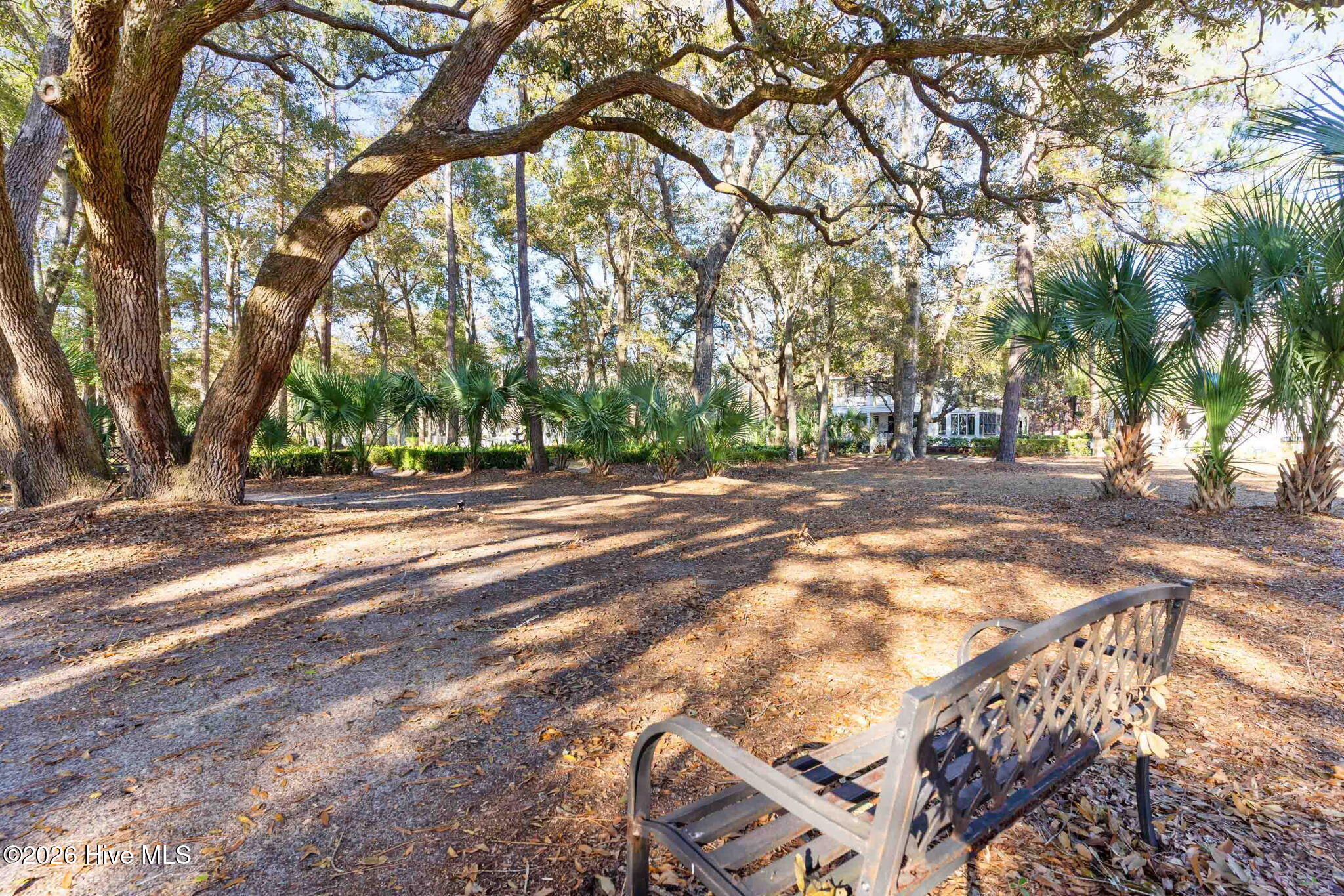 100558704 | Photo 25