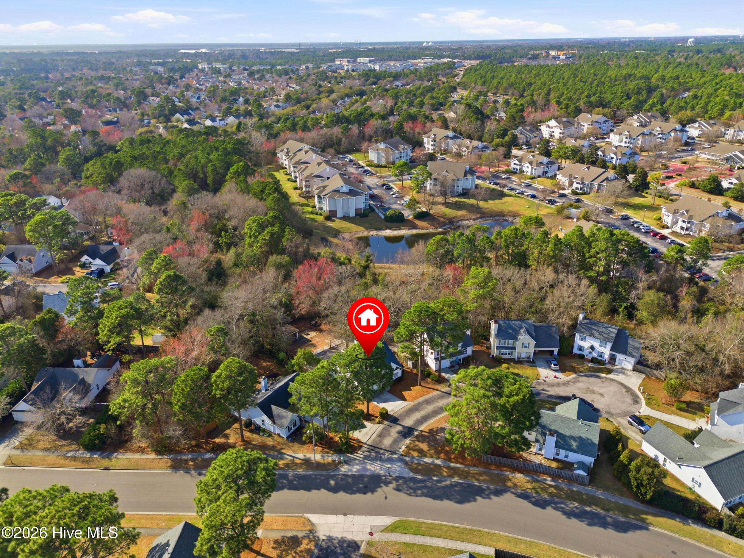 100558616 | Photo 35