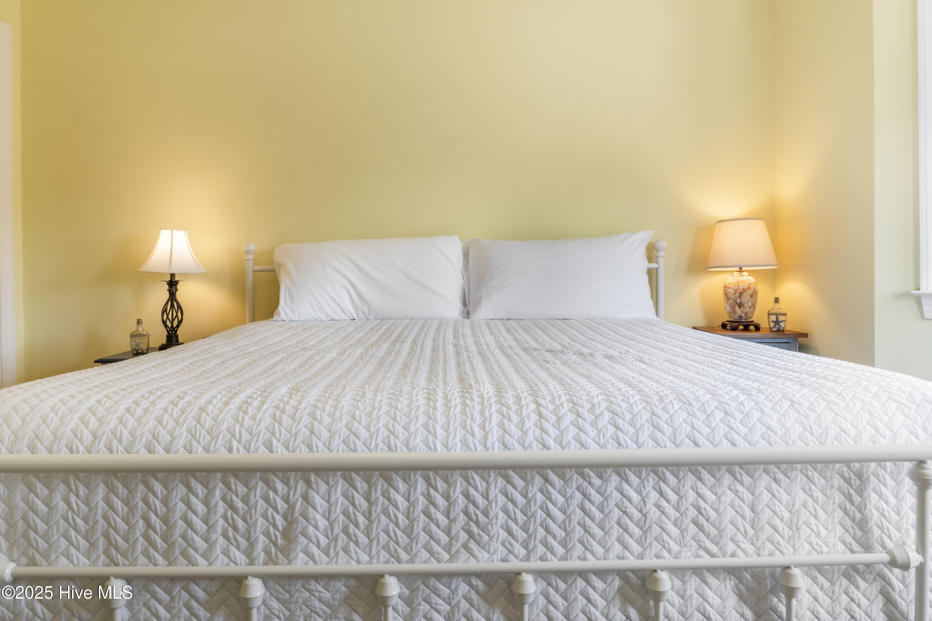 100526228 | Photo 16