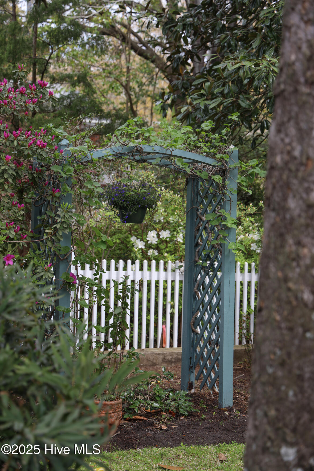 100501936 | Photo 90