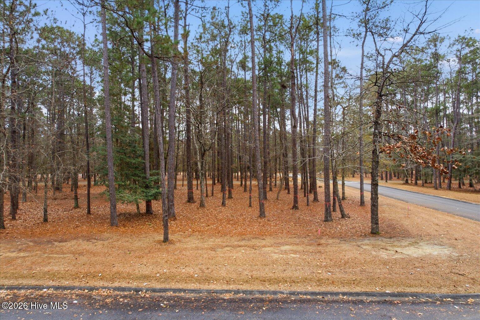 100555112 | Photo 19