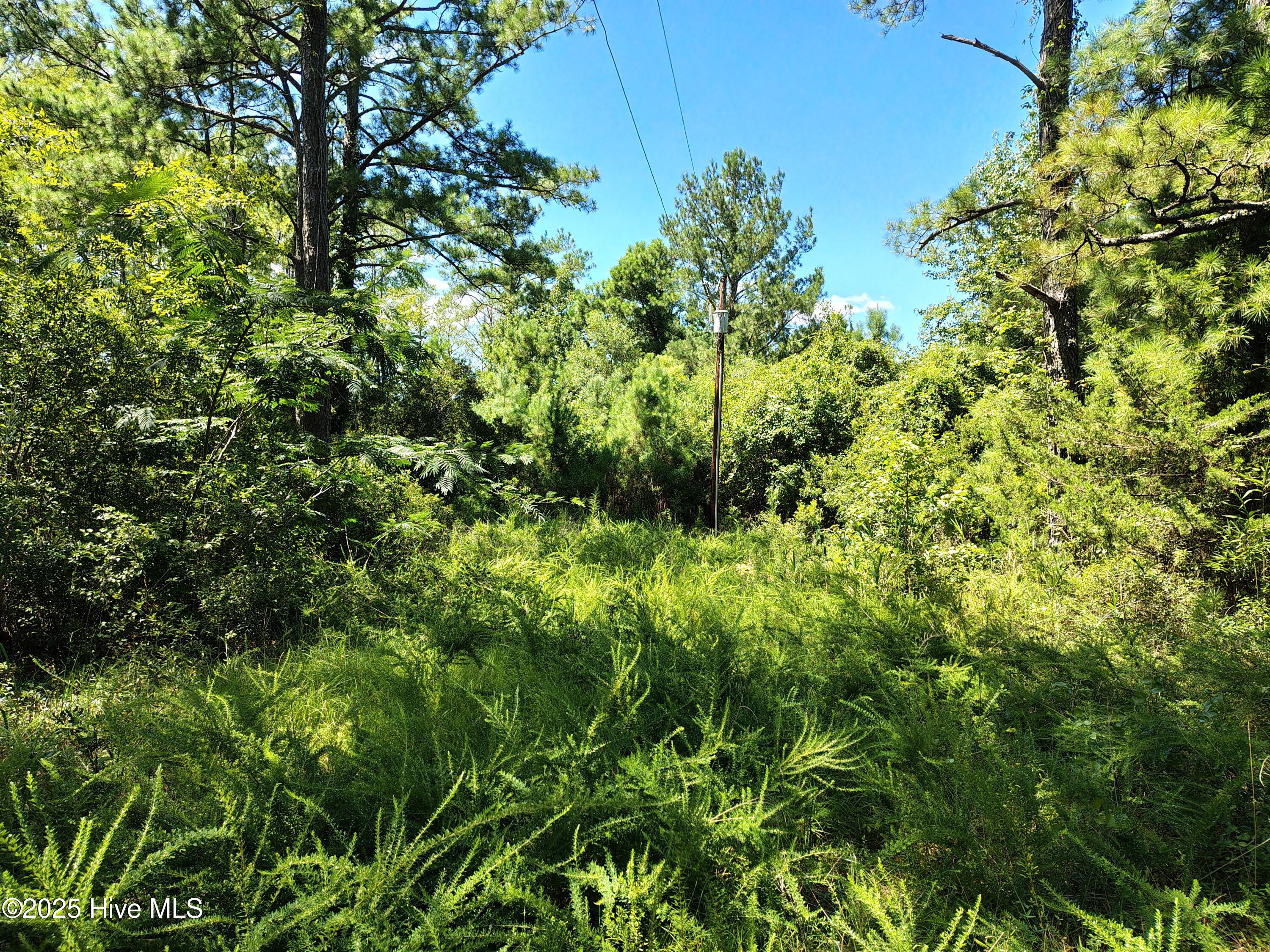 Property at 498 Poyners Road