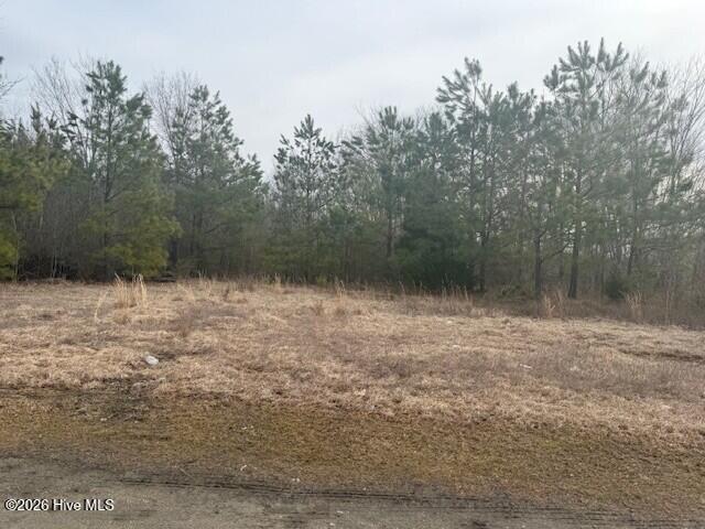 Tbd Carter Street, Woodland, NC, 27897