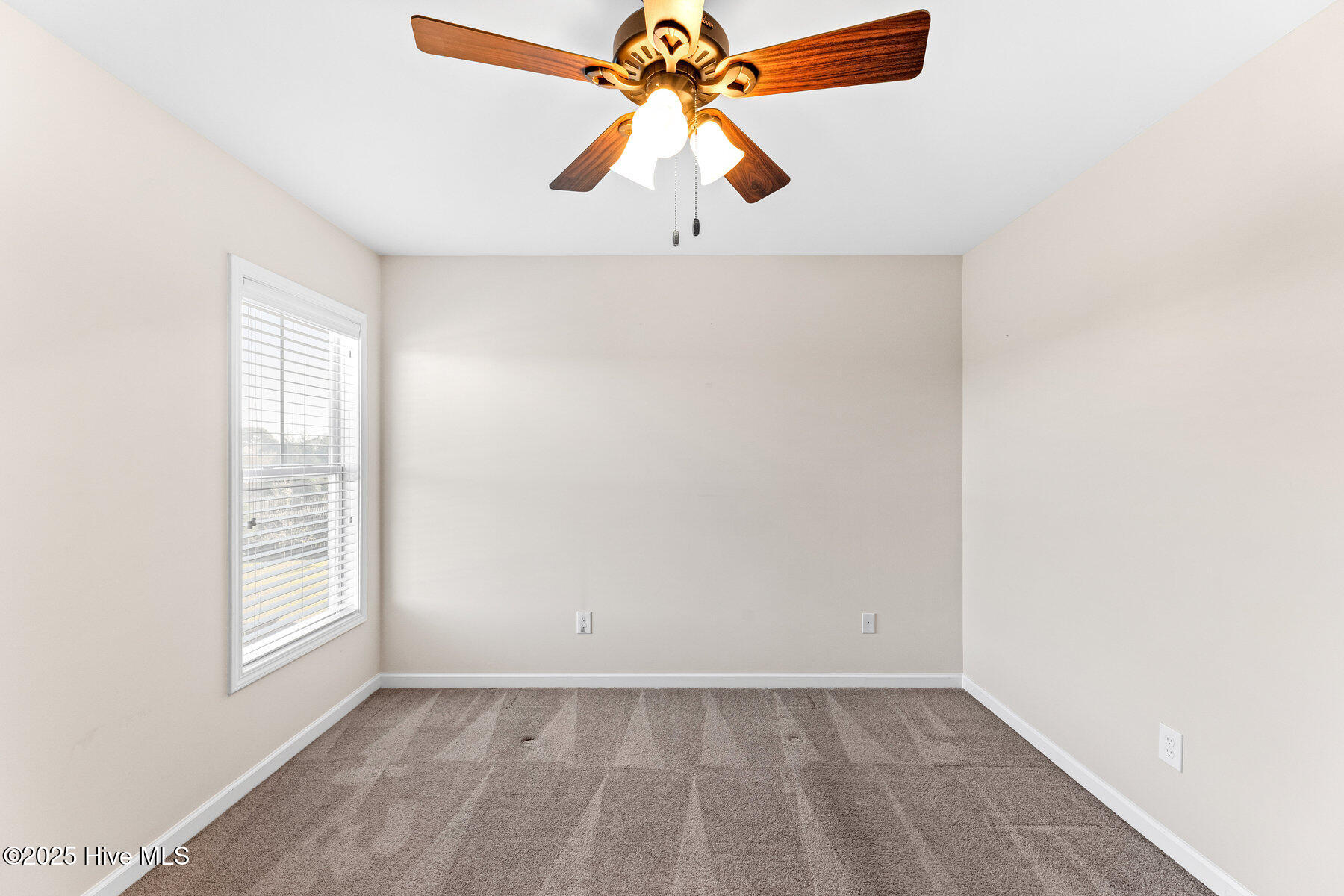 100538426 | Photo 23