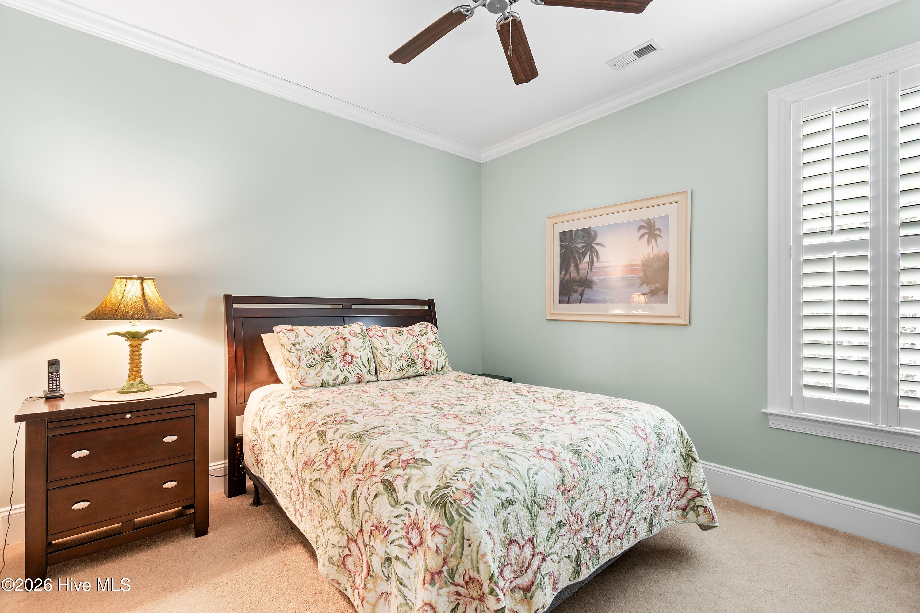 100554083 | Photo 29