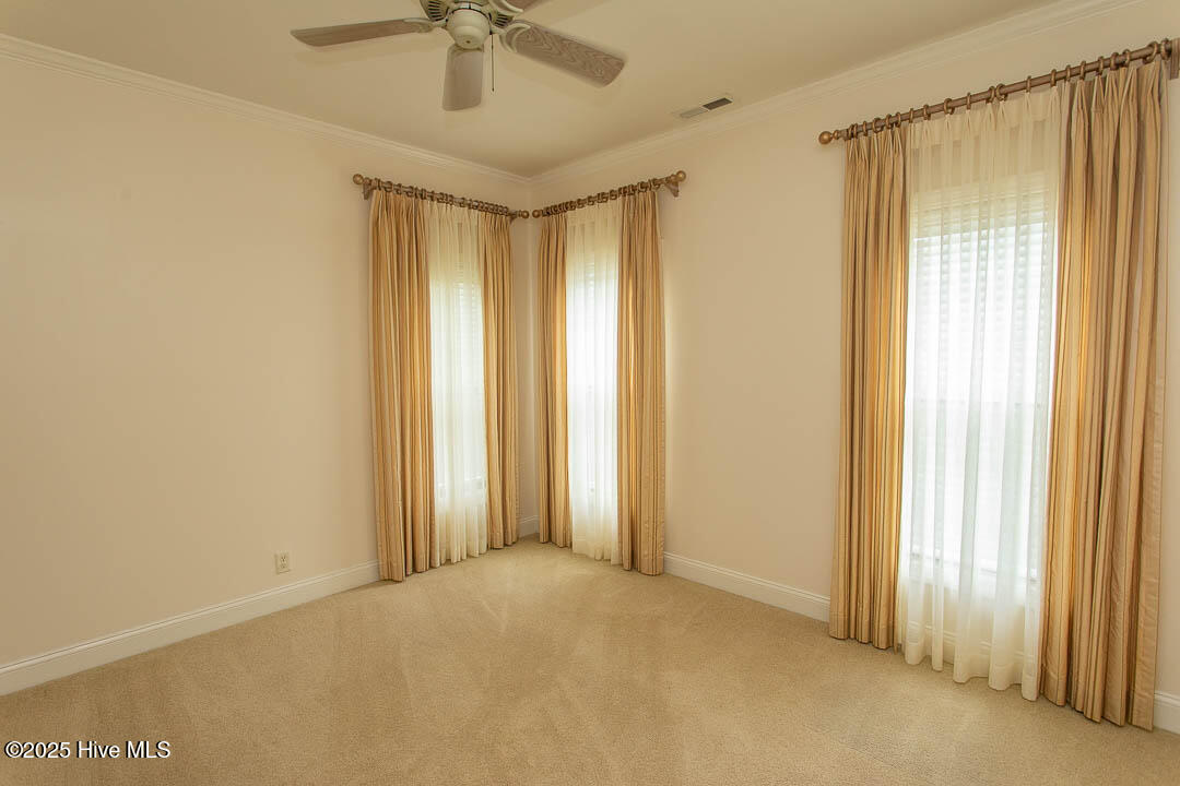 100526043 | Photo 35