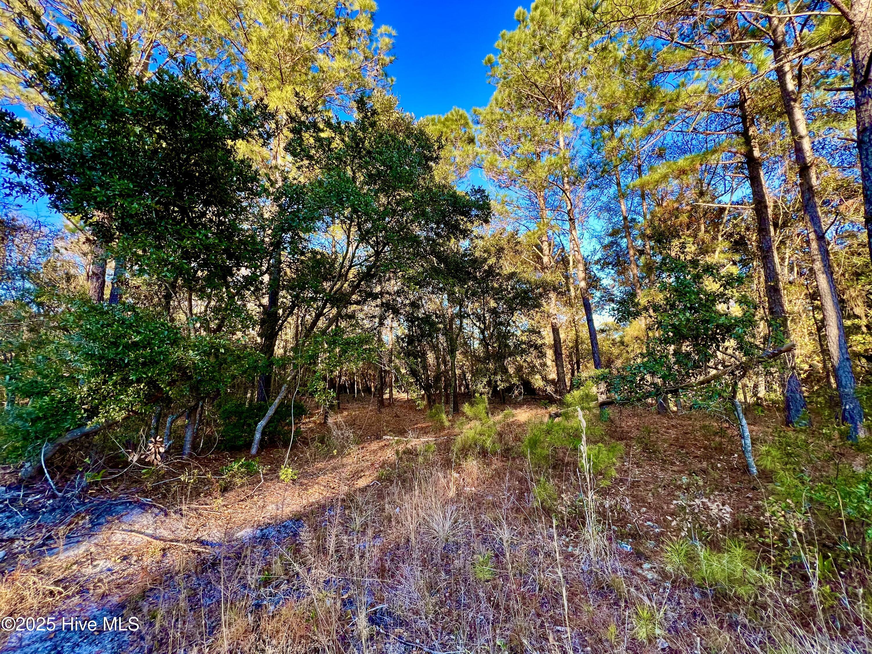 100536501 | Photo 11