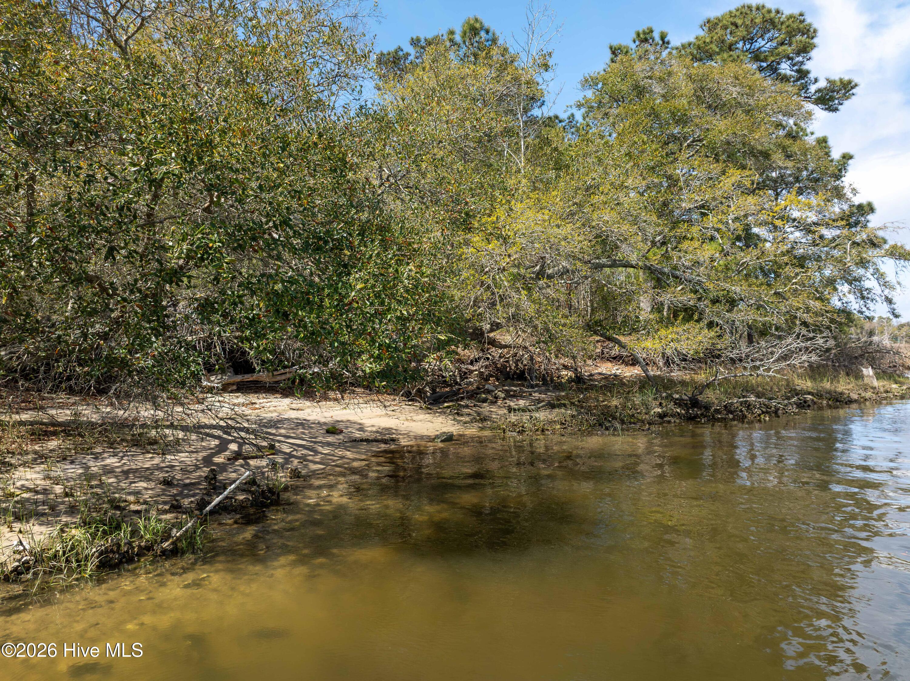 100564032 | Photo 19