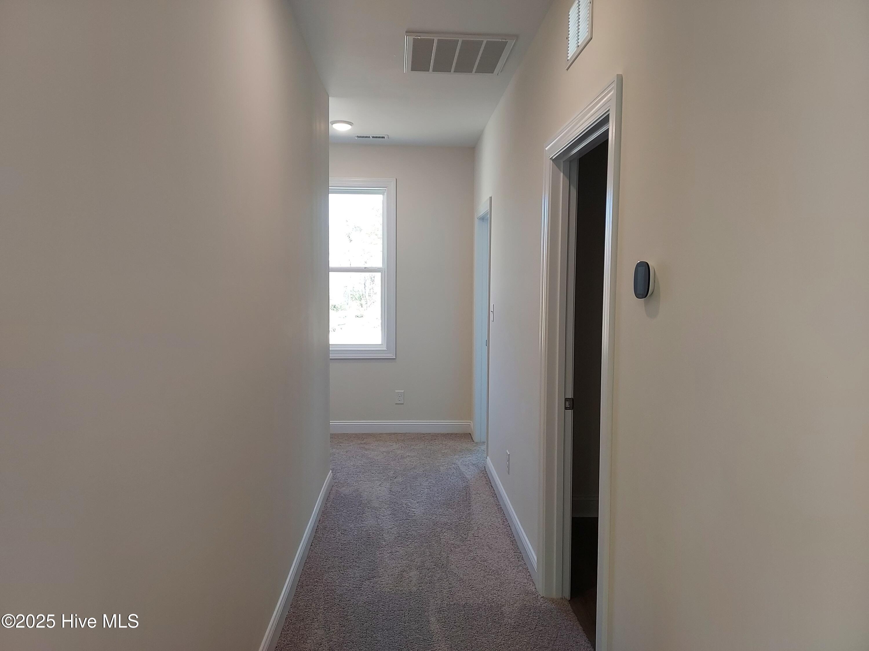 100506844 | Photo 19