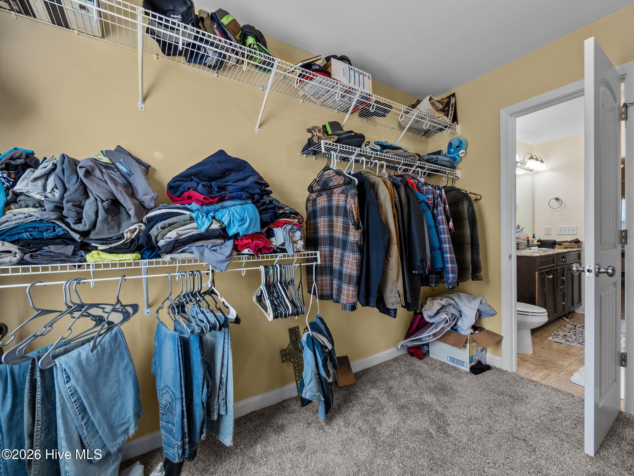 100549949 | Photo 31