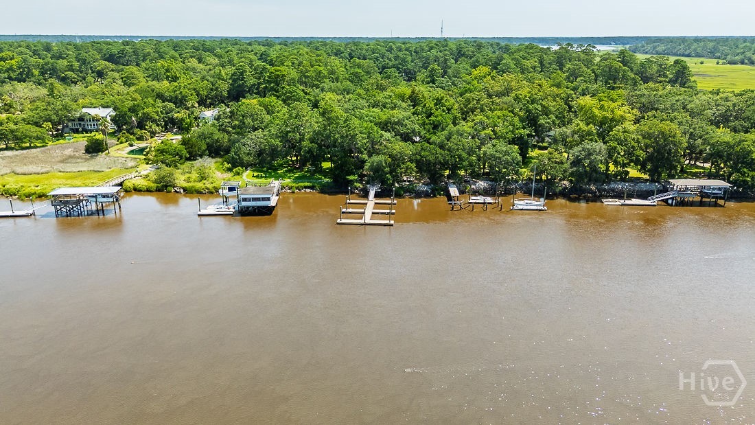 130 Schley Avenue, Savannah, GA 31419 Listing Photo  64