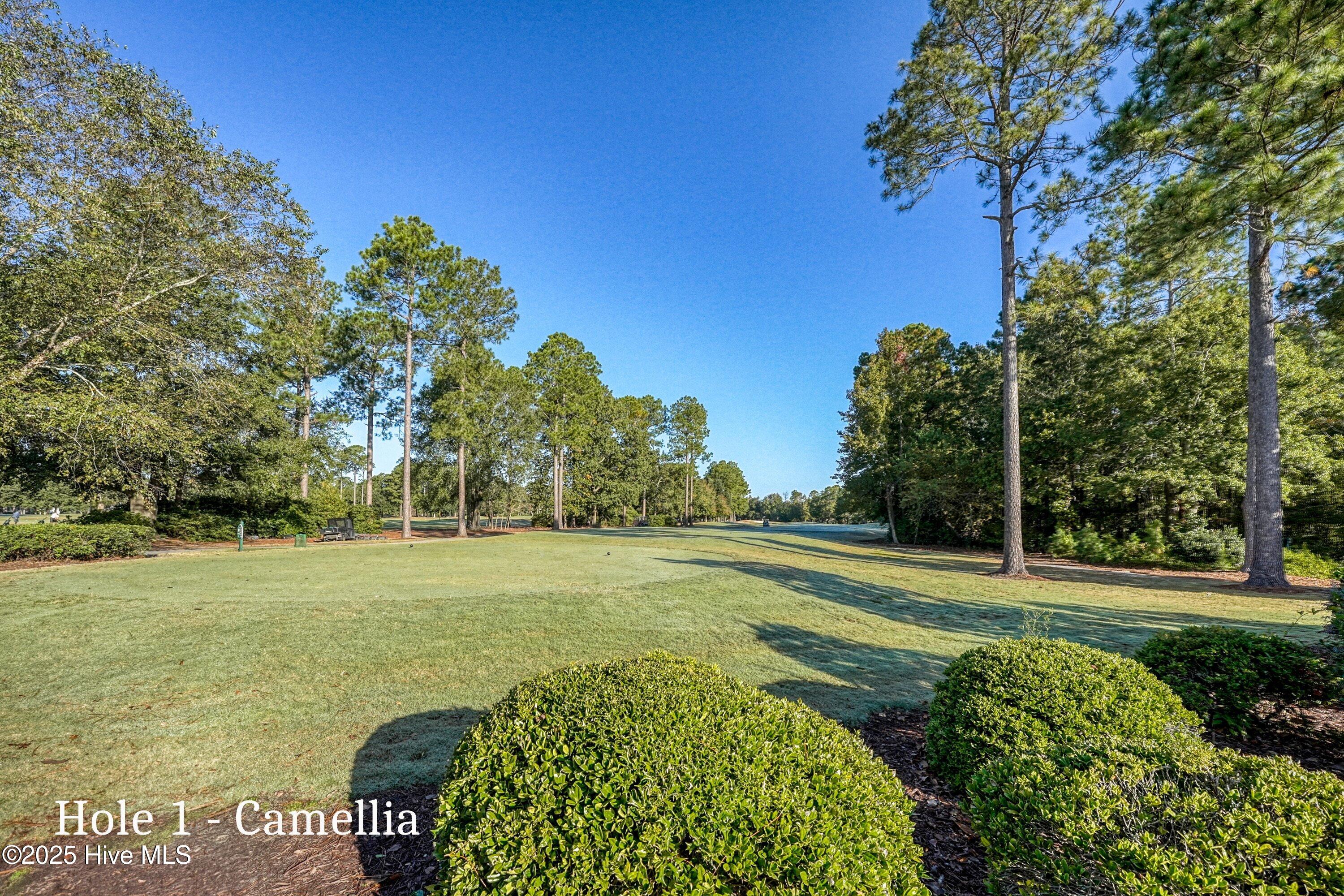 100515294 | Photo 63