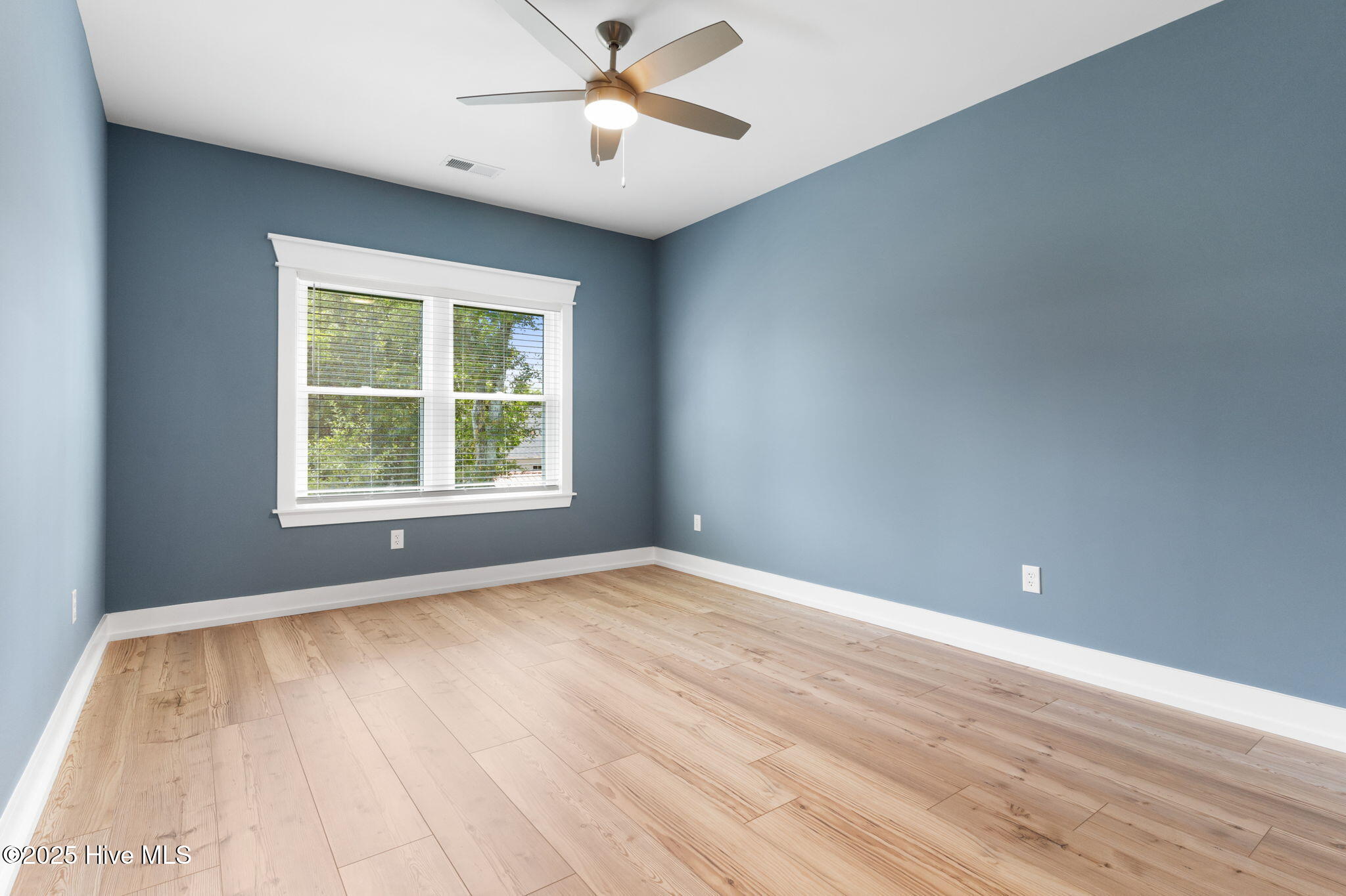 100524435 | Photo 20