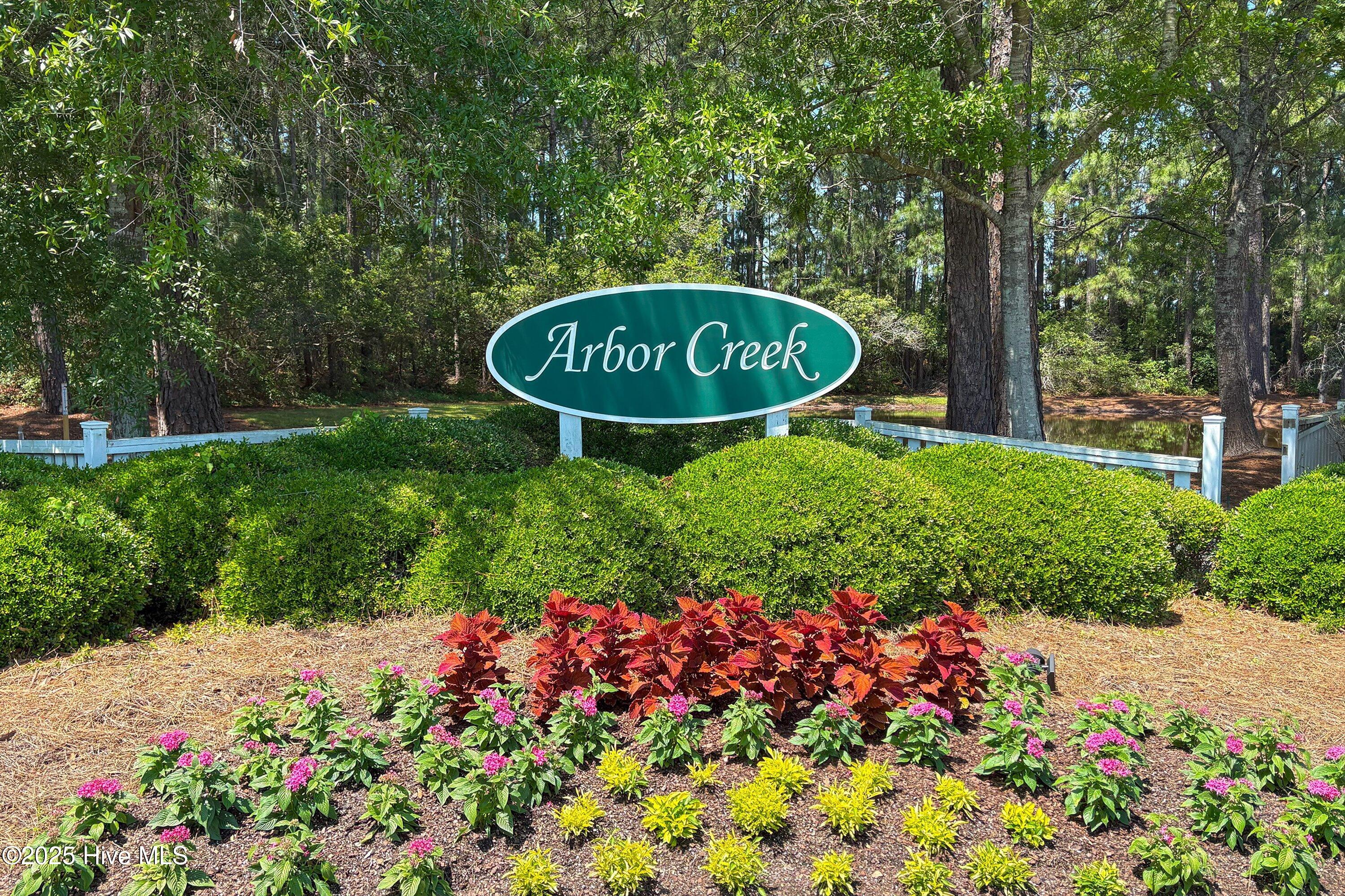 100537536 | Photo 51