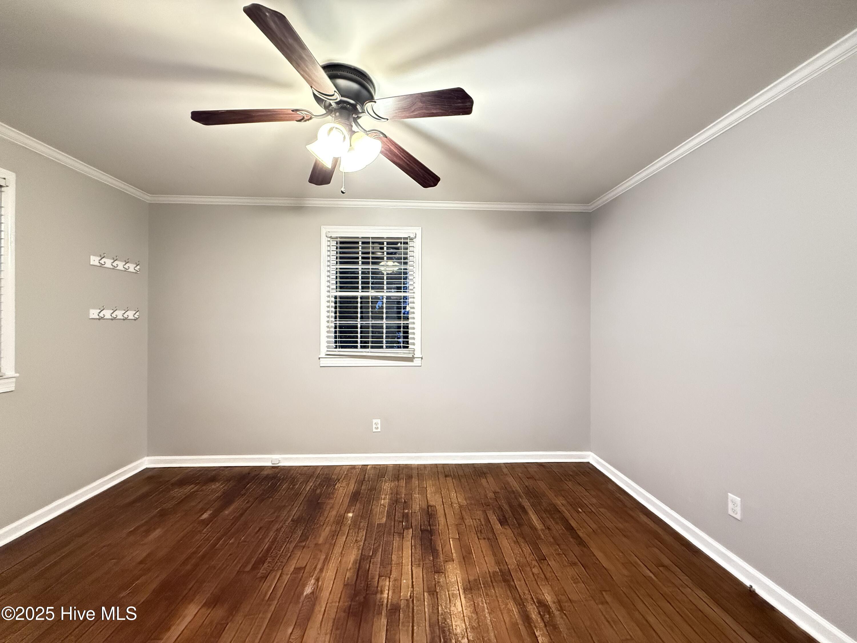 100537874 | Photo 20