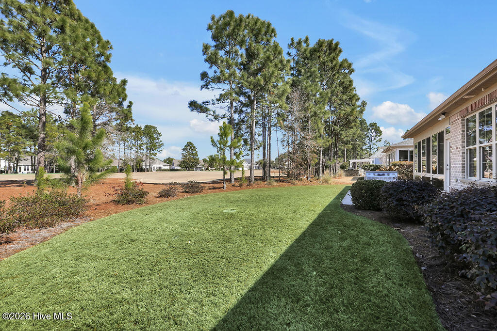 100554017 | Photo 37