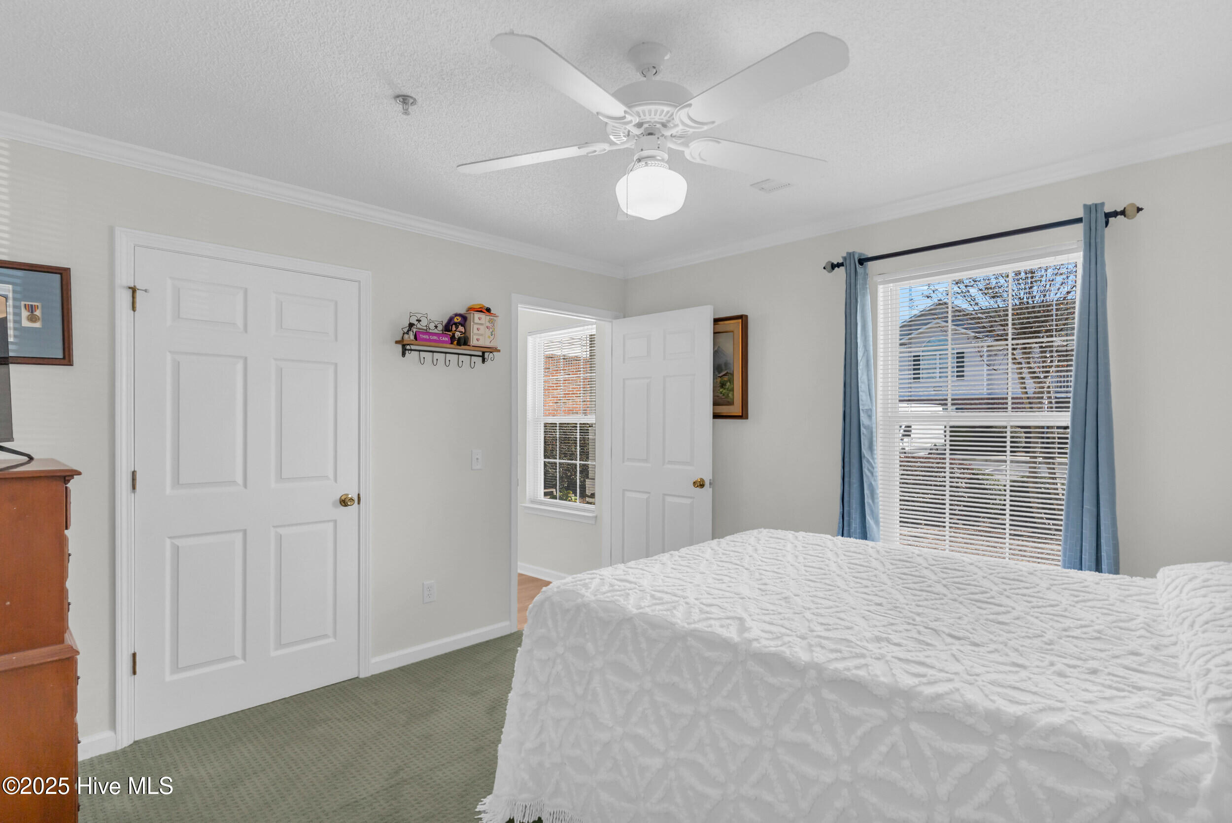 100539370 | Photo 20