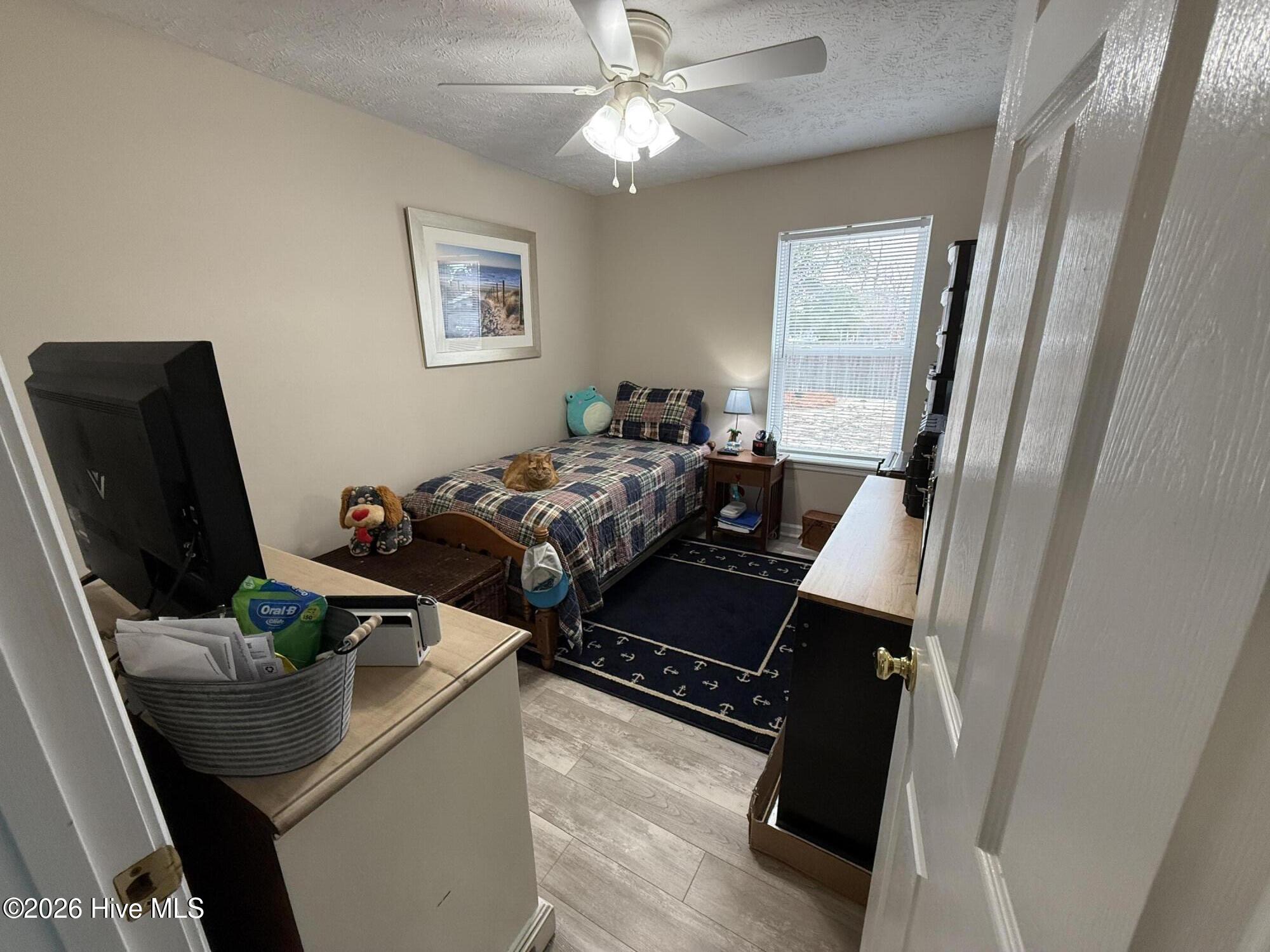 100558019 | Photo 16