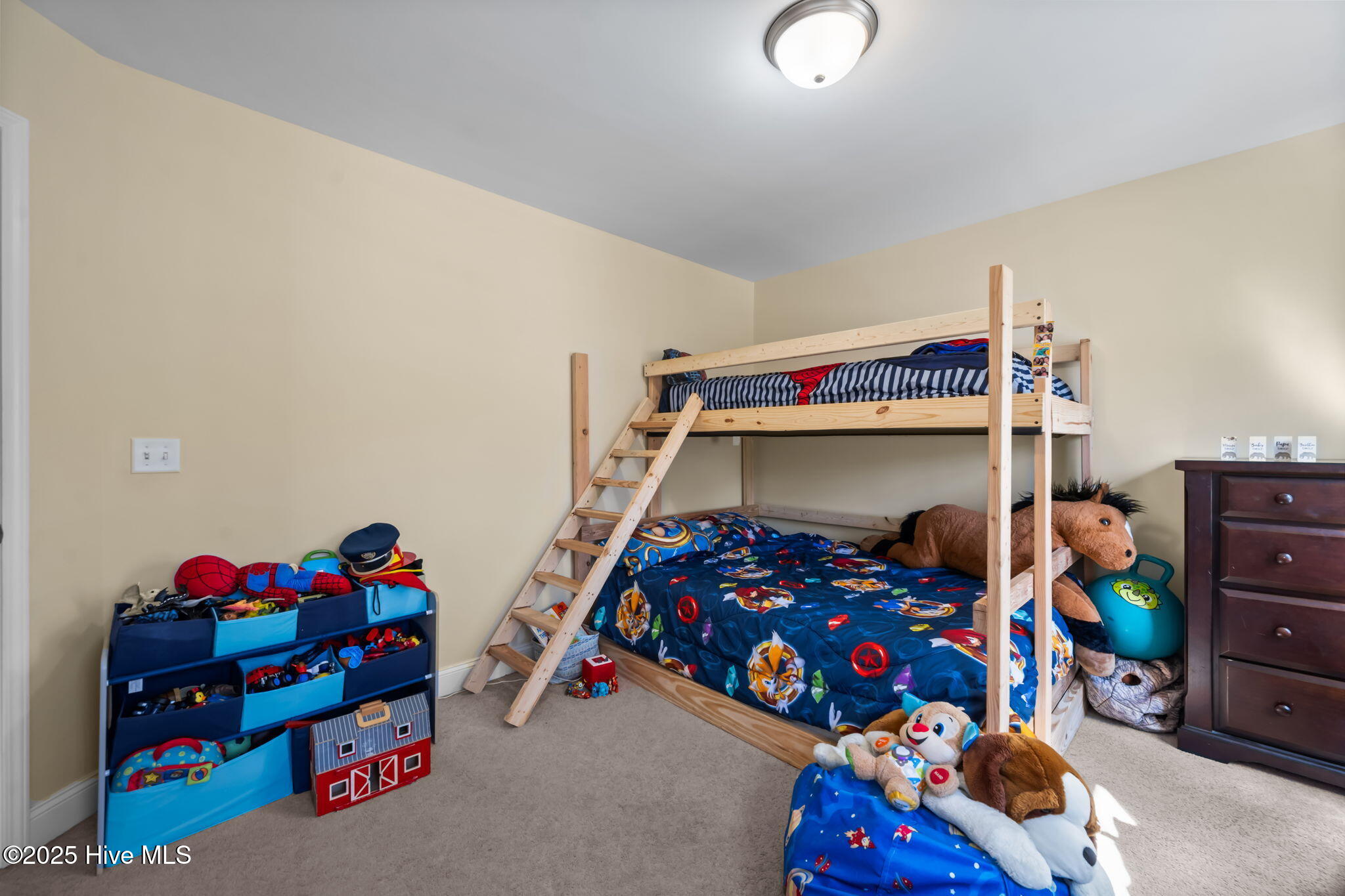 100540594 | Photo 24