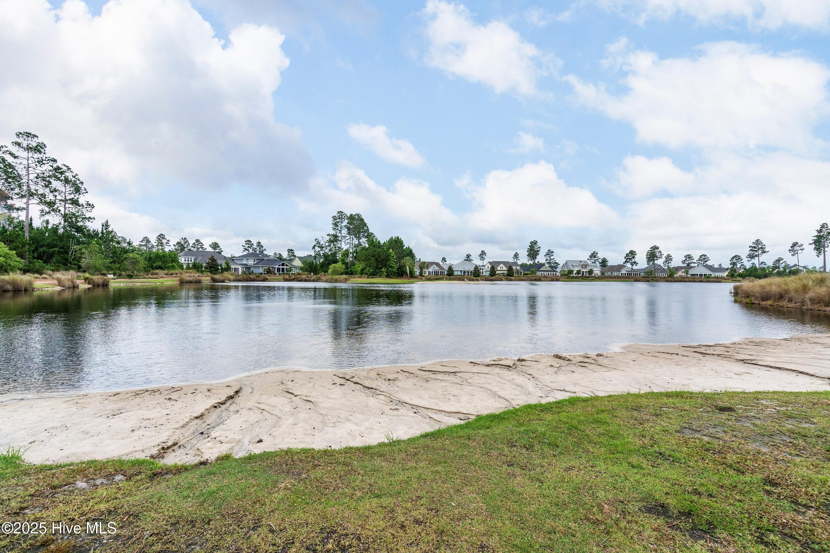 100531826 | Photo 86