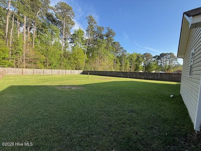 100557118 | Photo 24