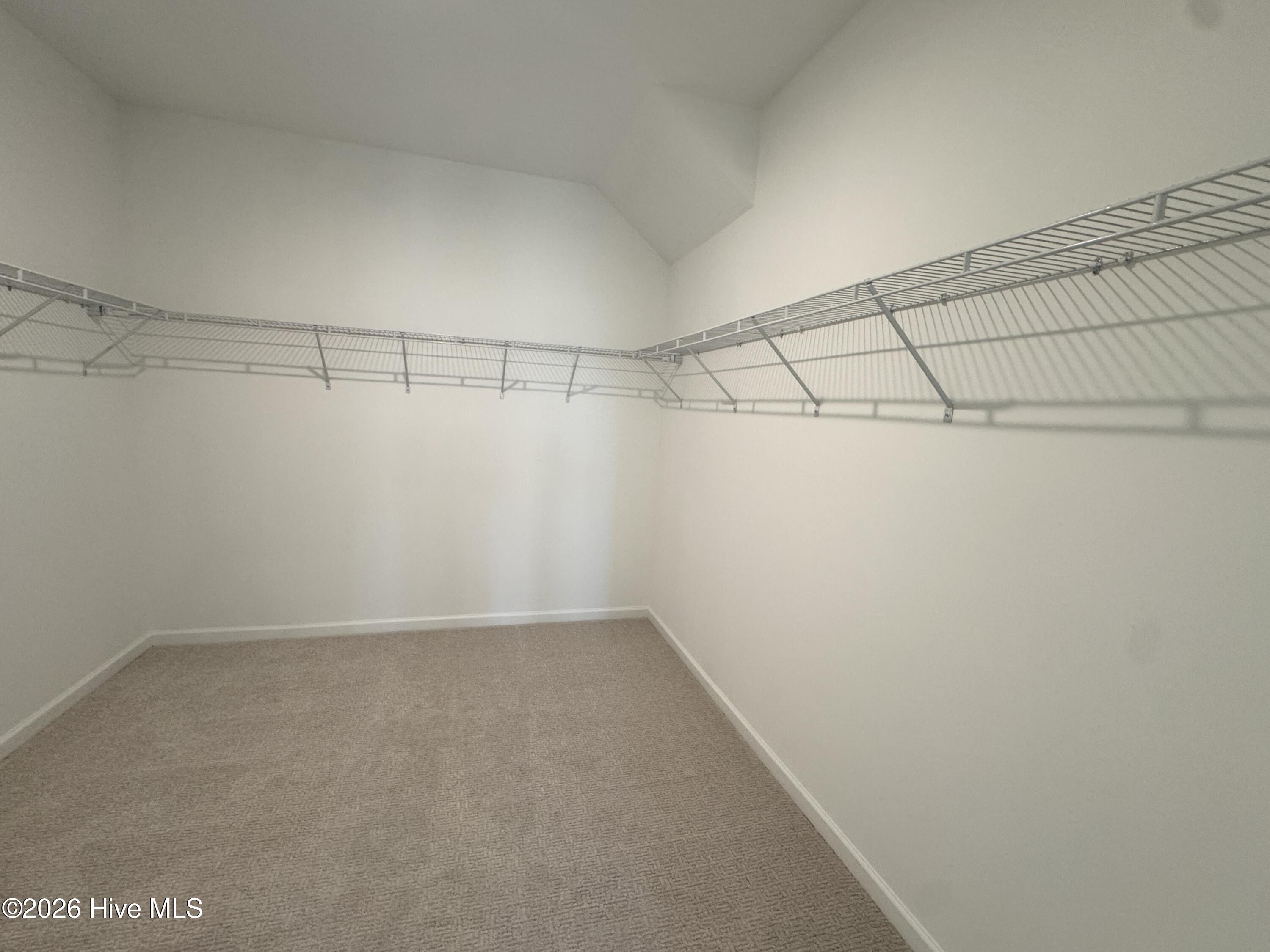 100516667 | Photo 16