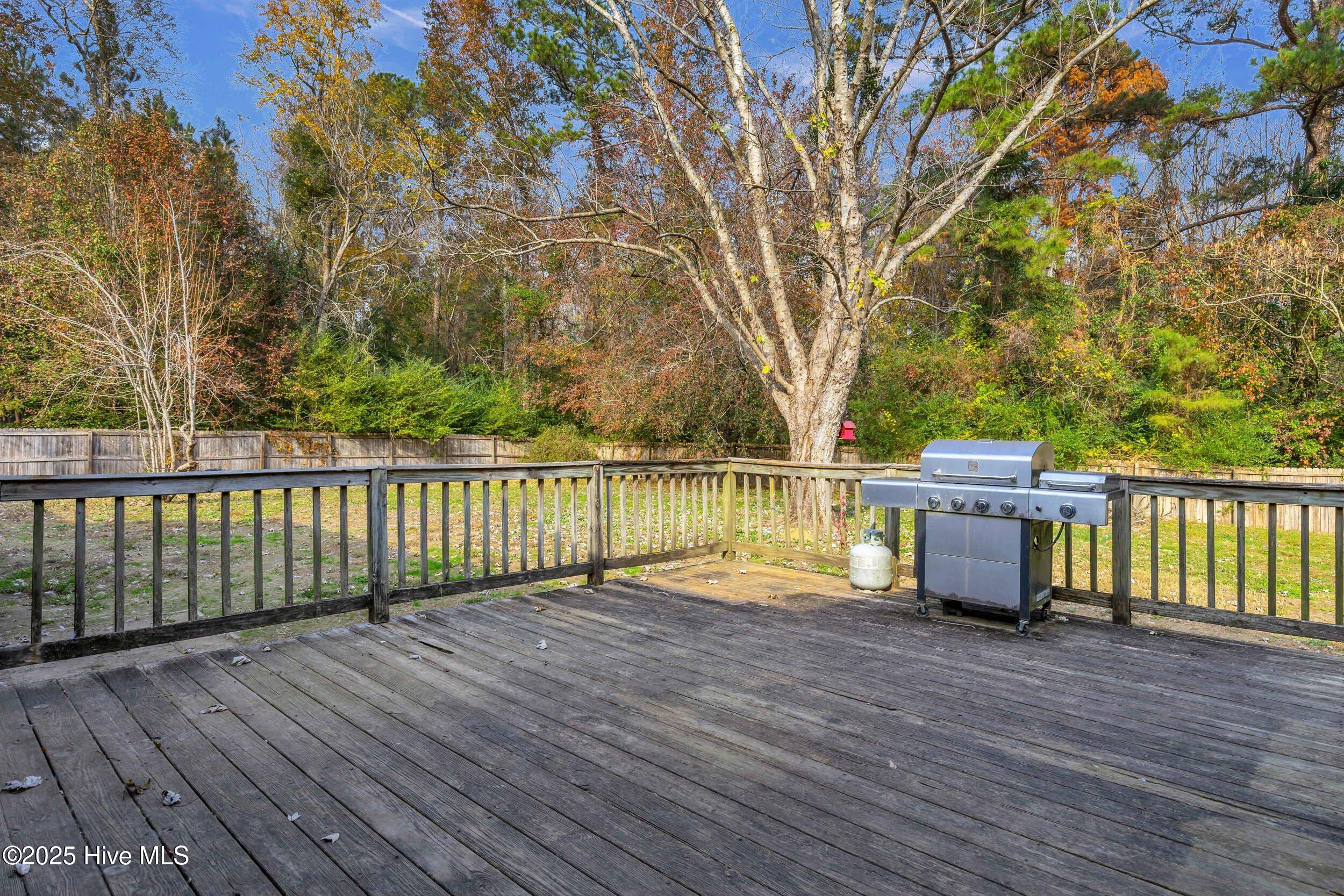 100543256 | Photo 42