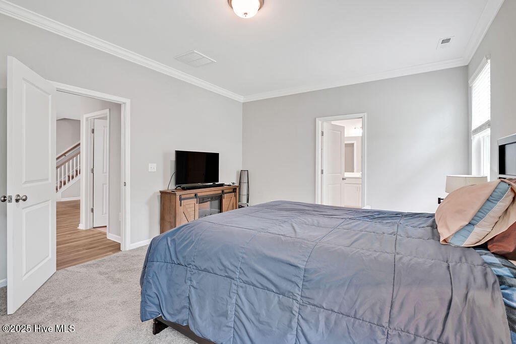 100563599 | Photo 19