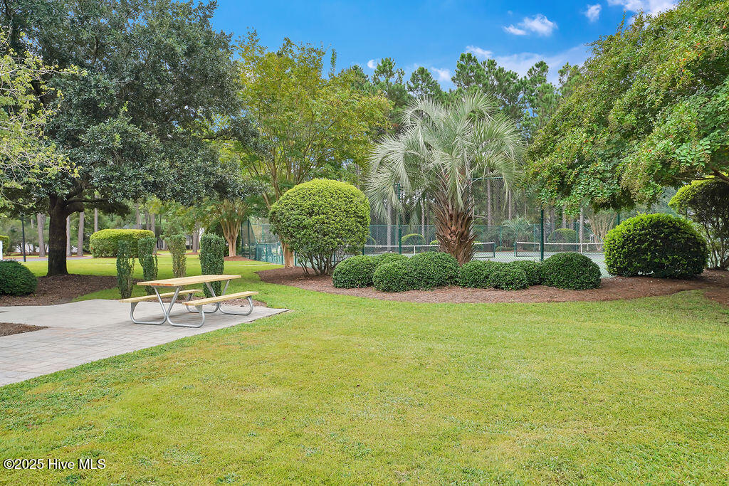 100541606 | Photo 57