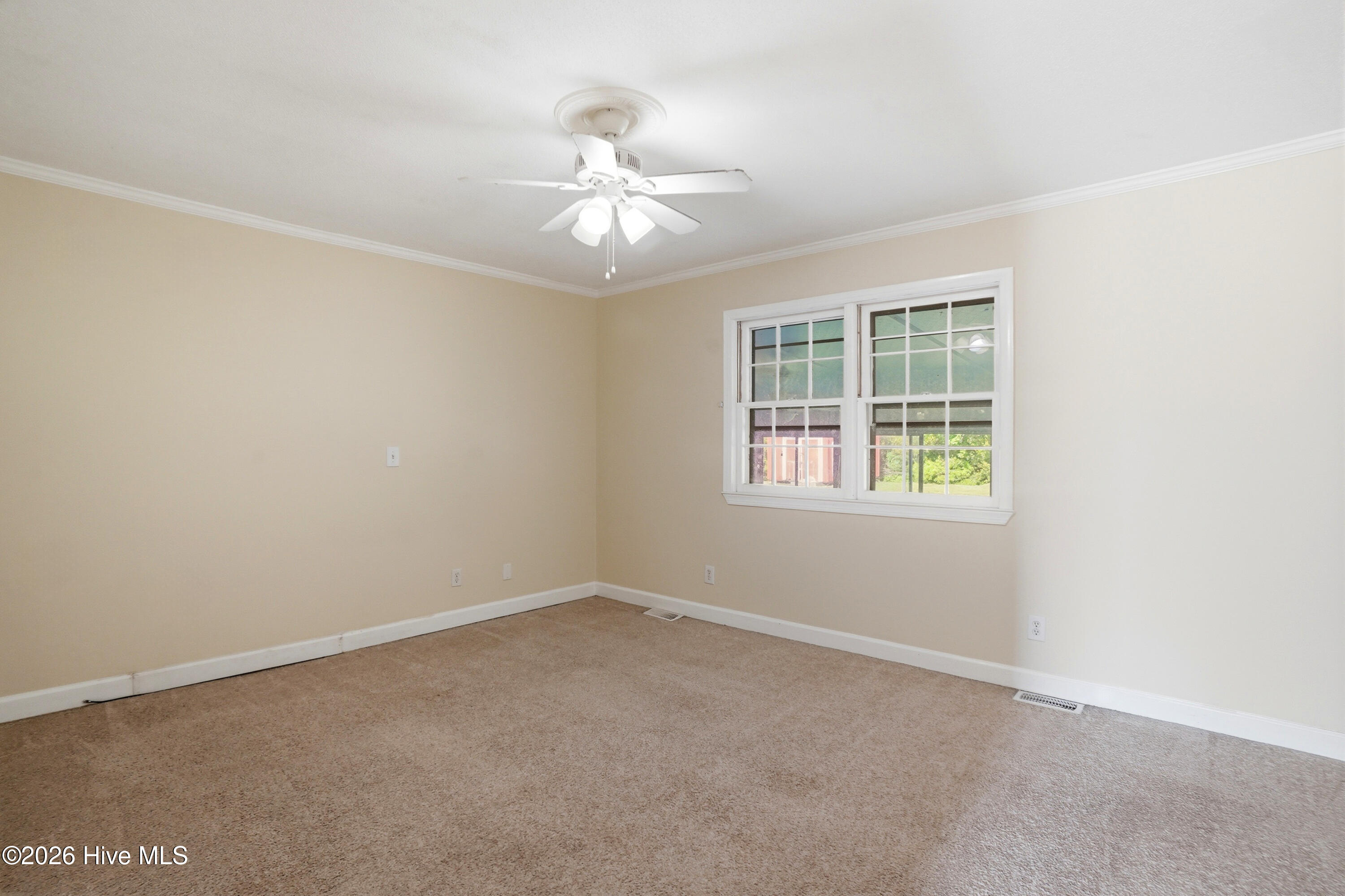 100567003 | Photo 24