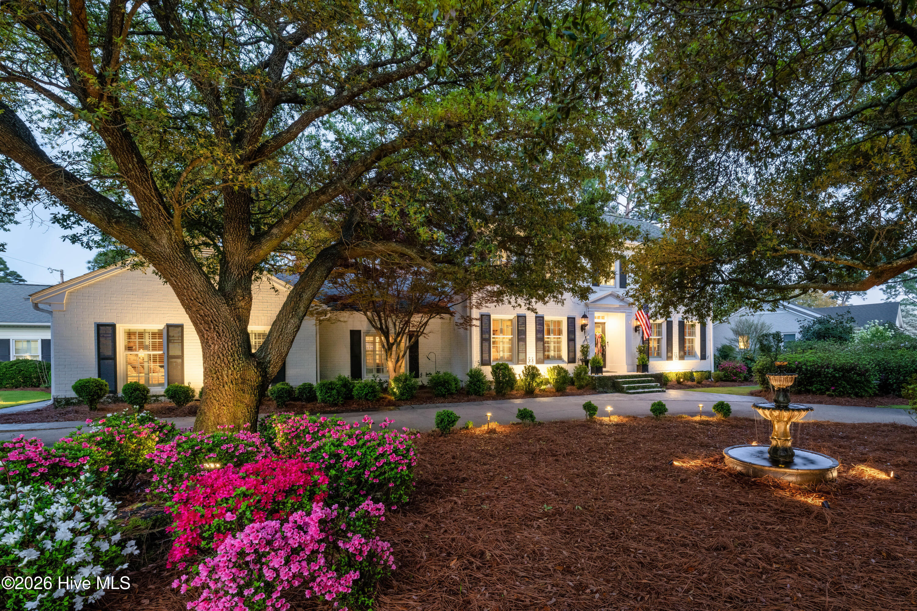 100565005 | Photo 63