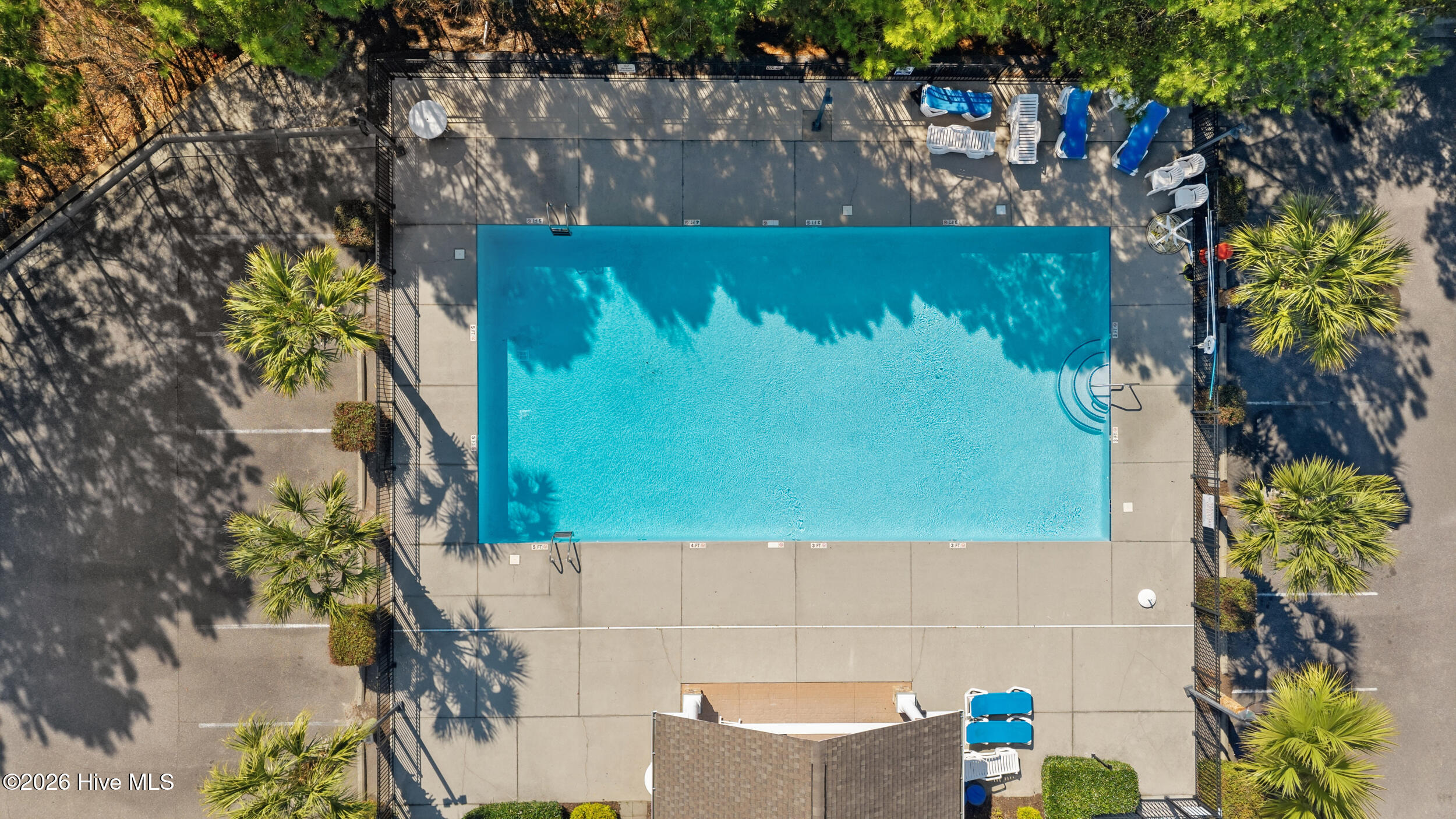 100557196 | Photo 37