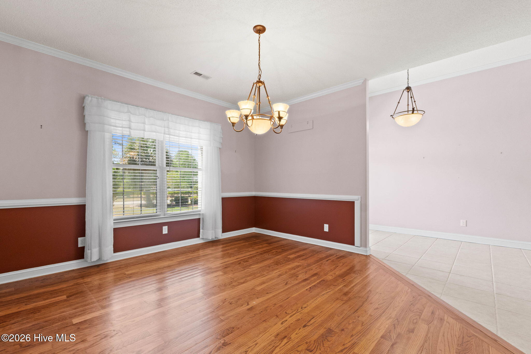 100567537 | Photo 17