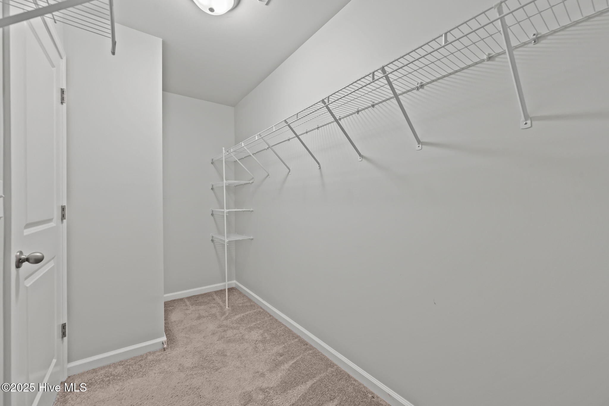 100536149 | Photo 17