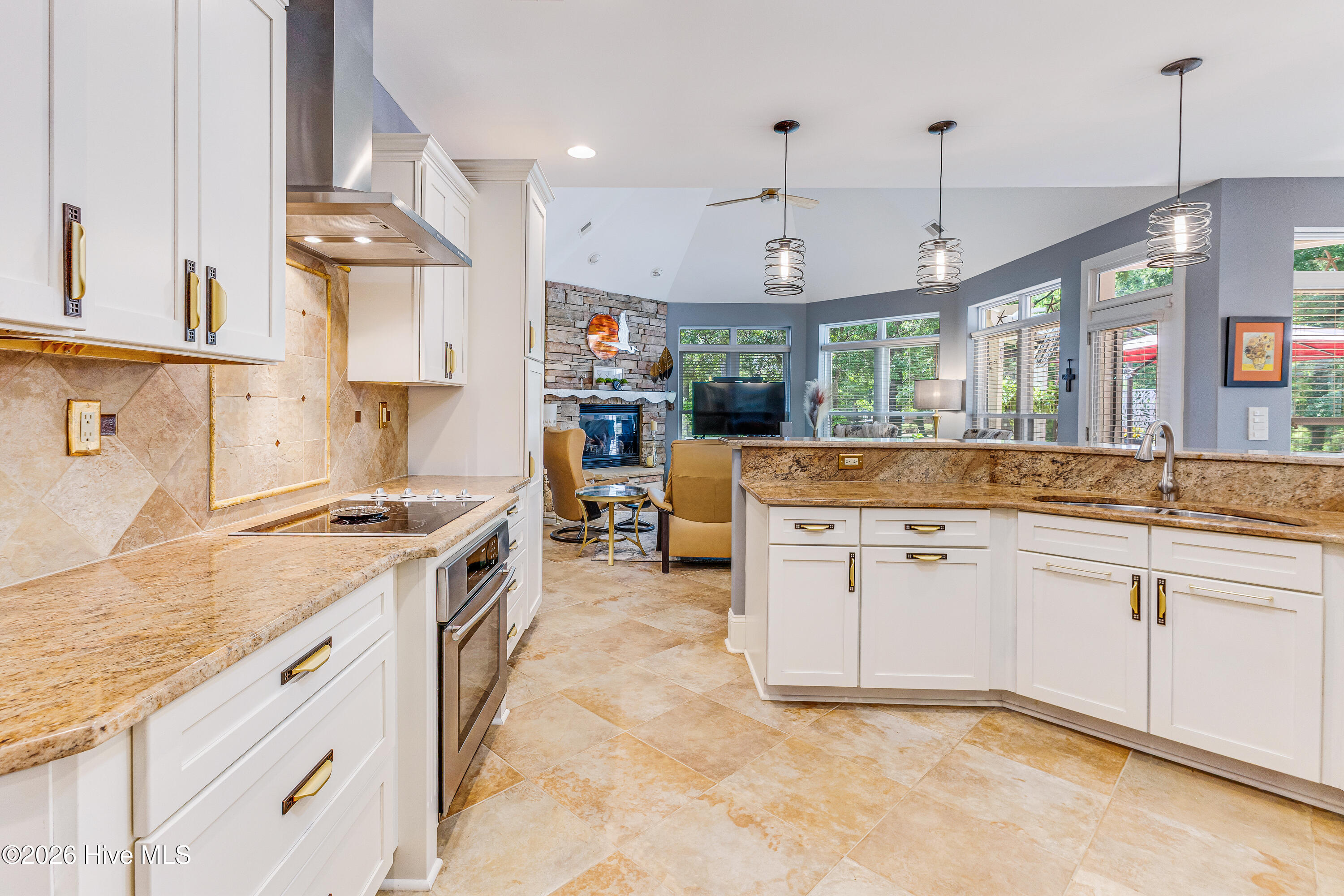 100570031 | Photo 18