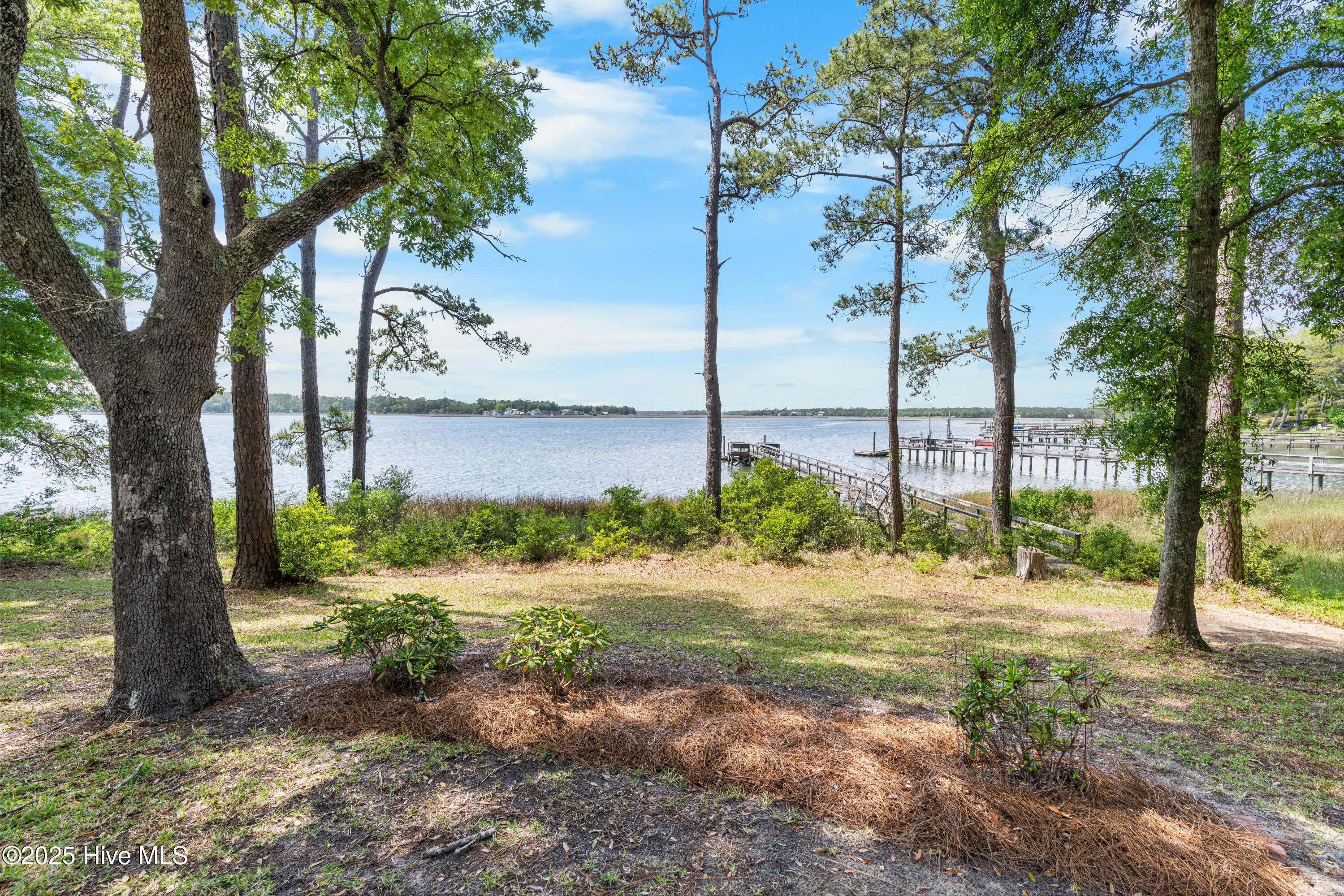 100570378 | Photo 60