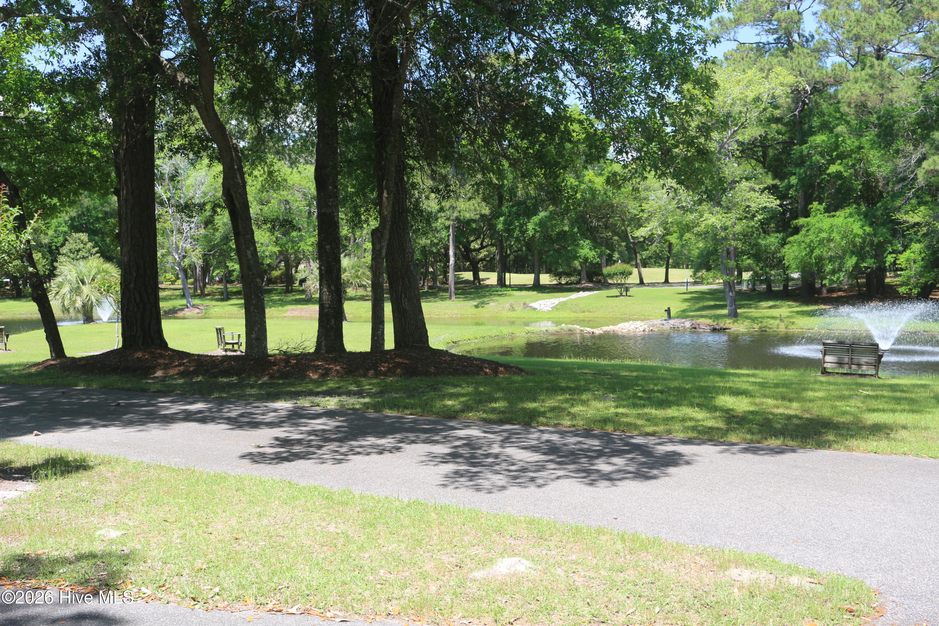 100566261 | Photo 13