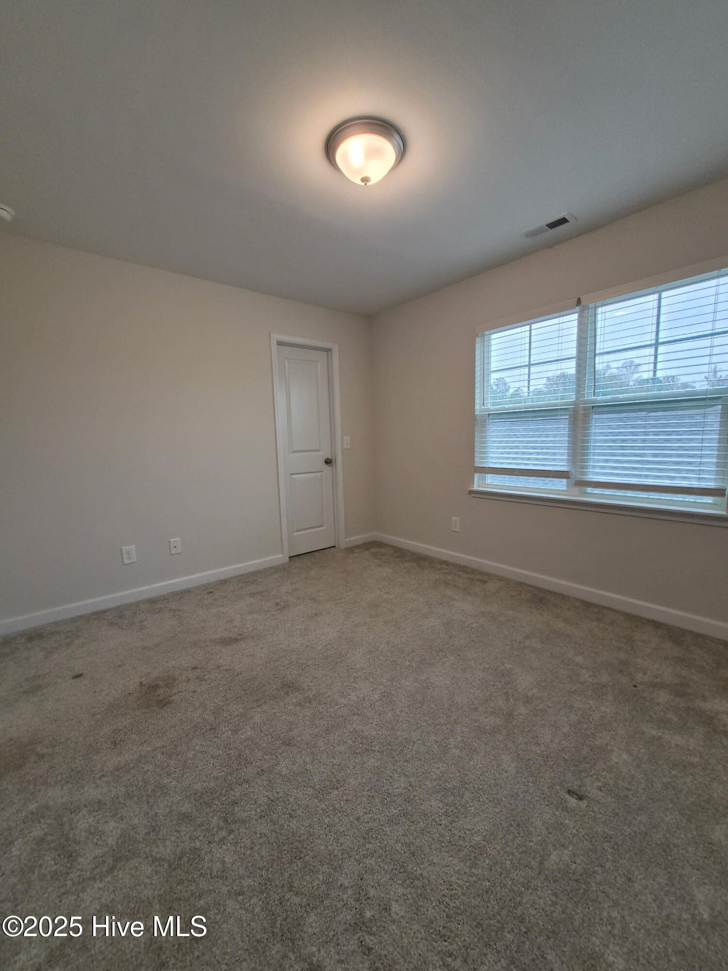 100539577 | Photo 30