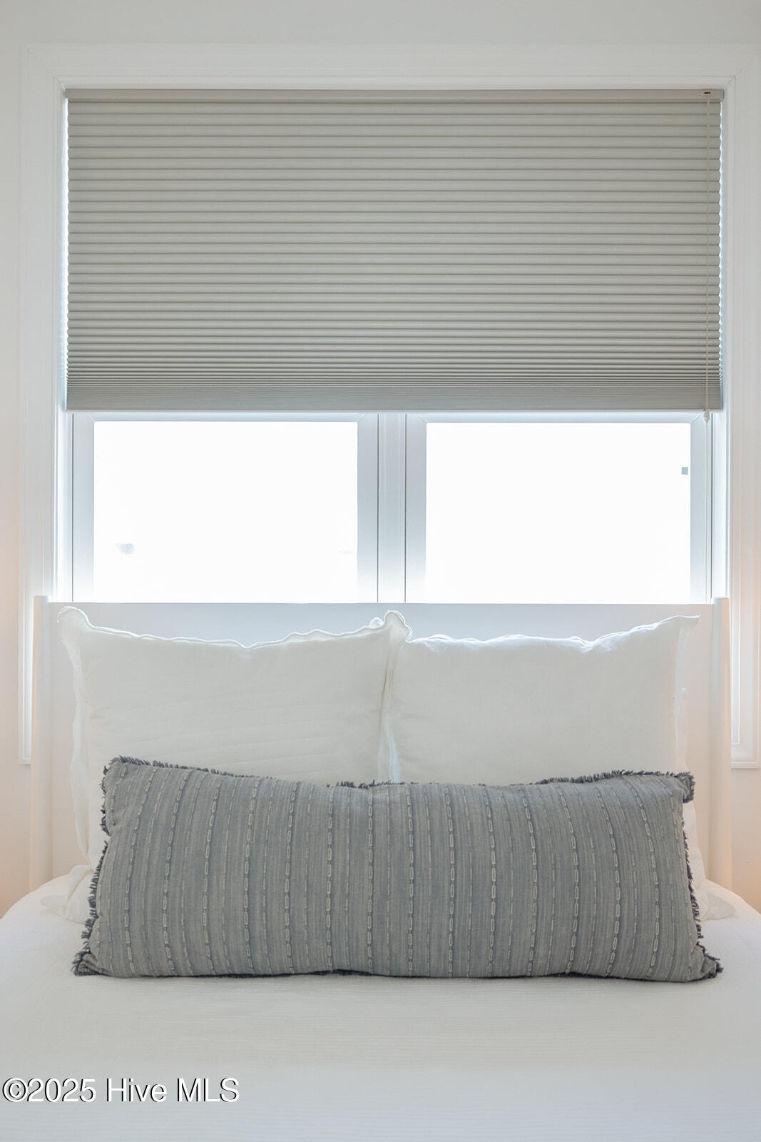 100536787 | Photo 30