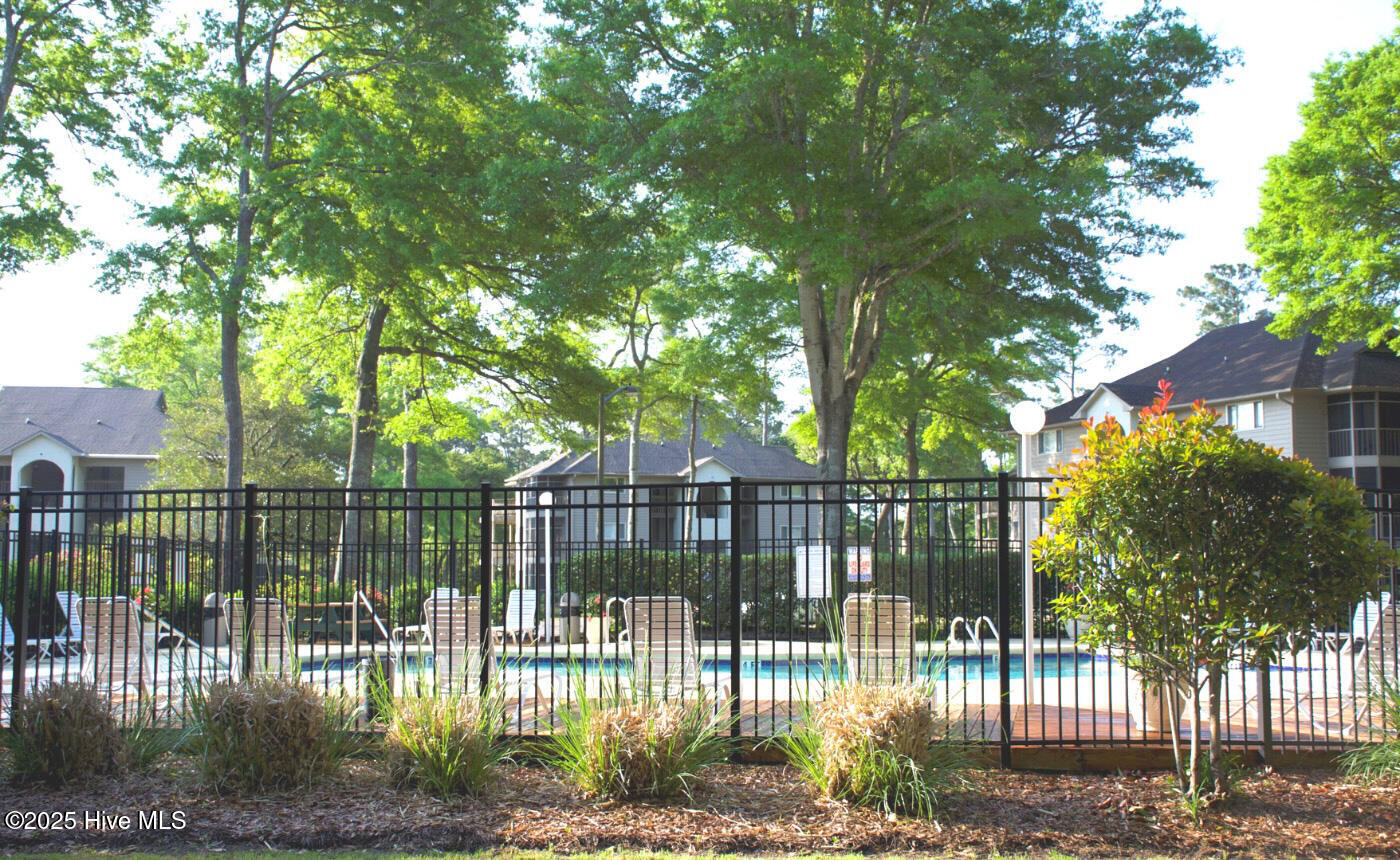 100555696 | Photo 33