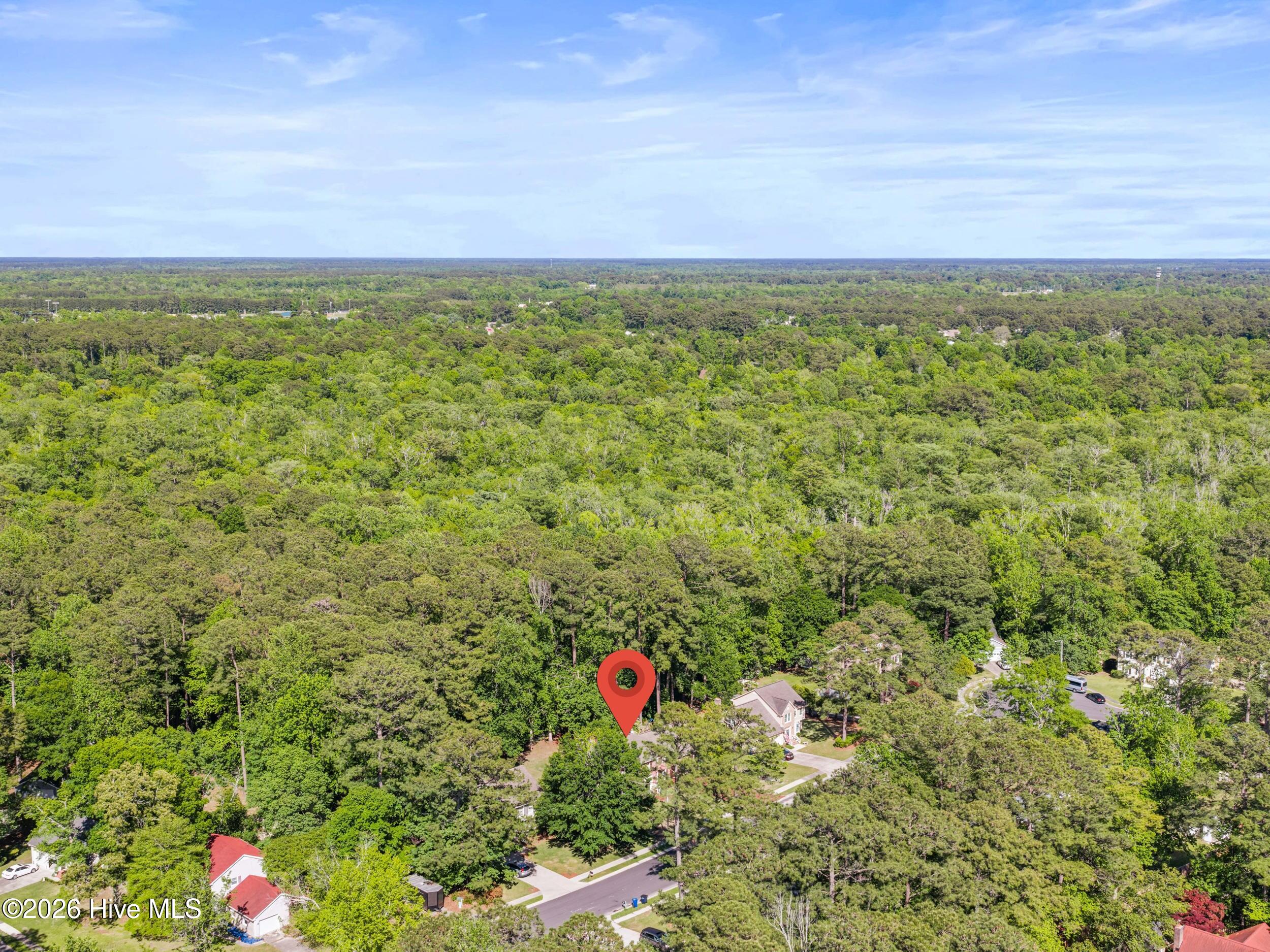 100570486 | Photo 84