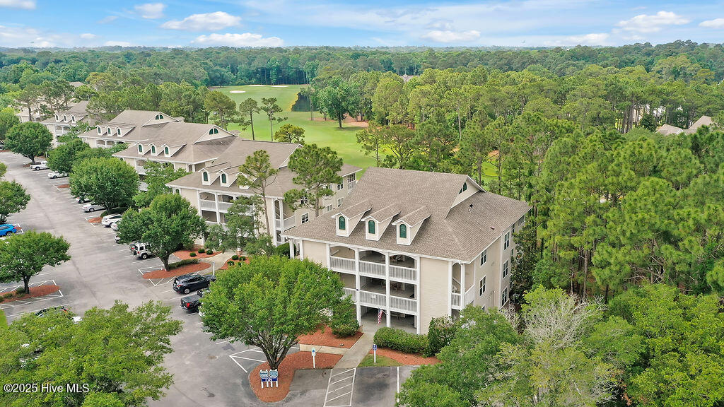 100554585 | Photo 35