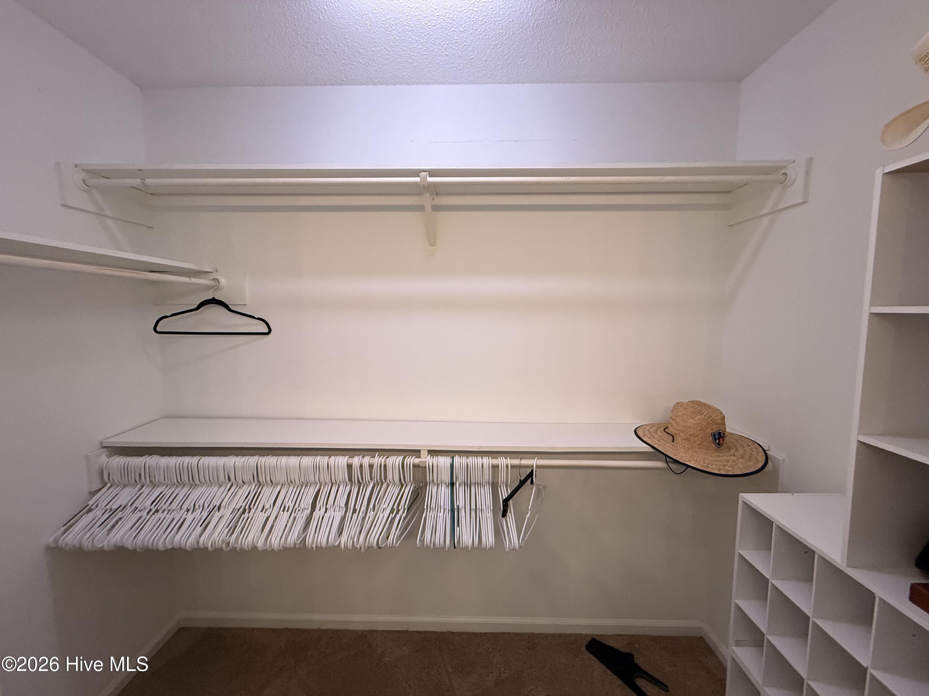 109 Arbor Drive, Greenville, NC, 27858