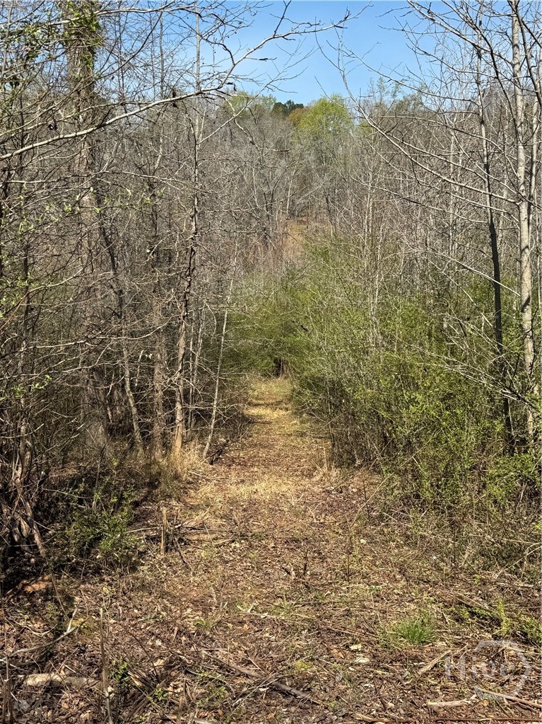 738 Old Mineral Springs Road, Elberton, GA, 30635