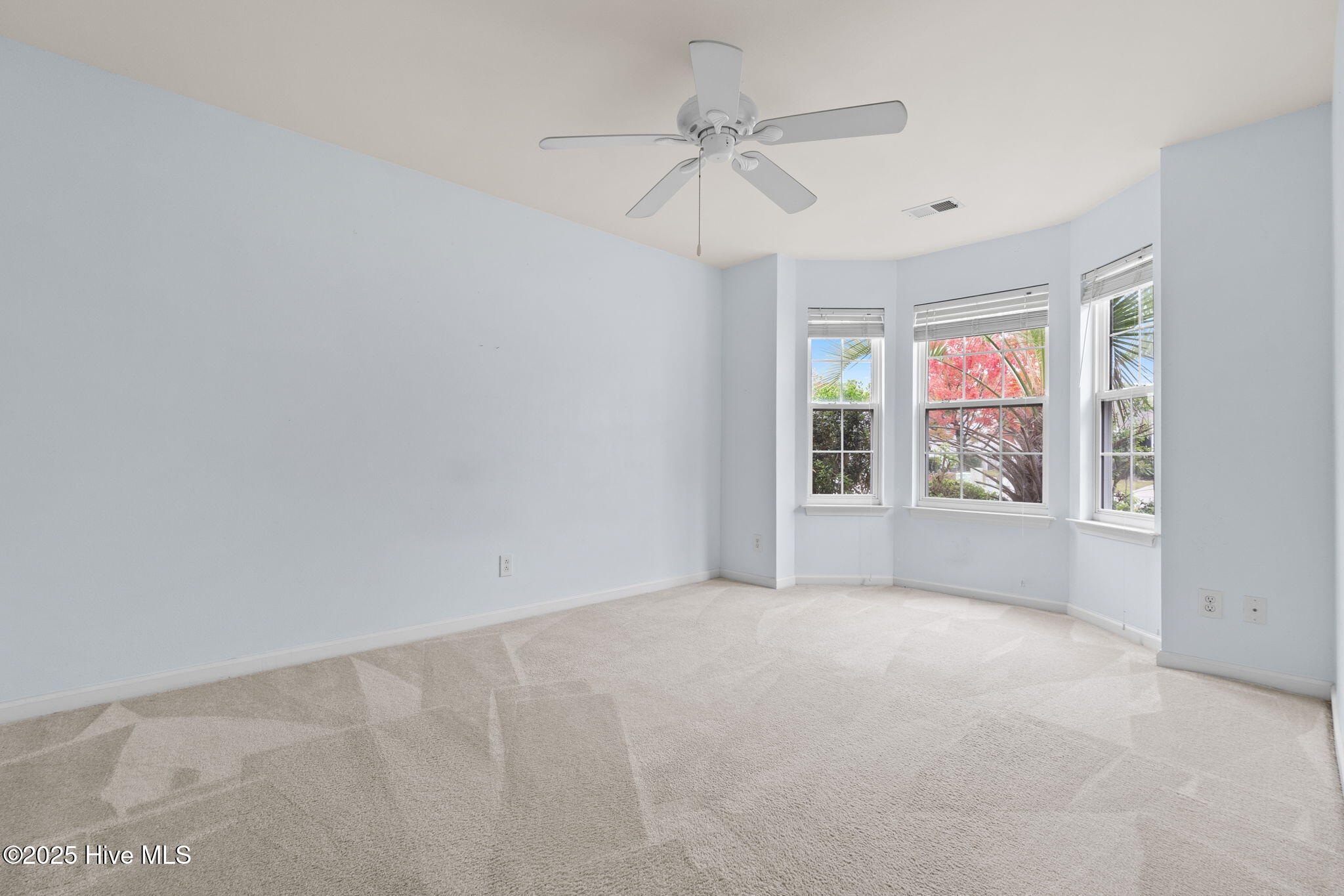 100536152 | Photo 42