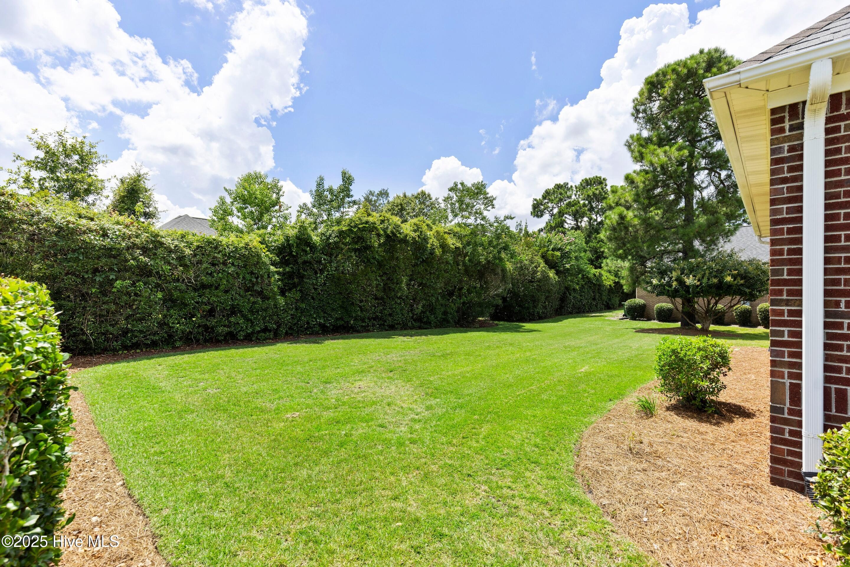 100519382 | Photo 48