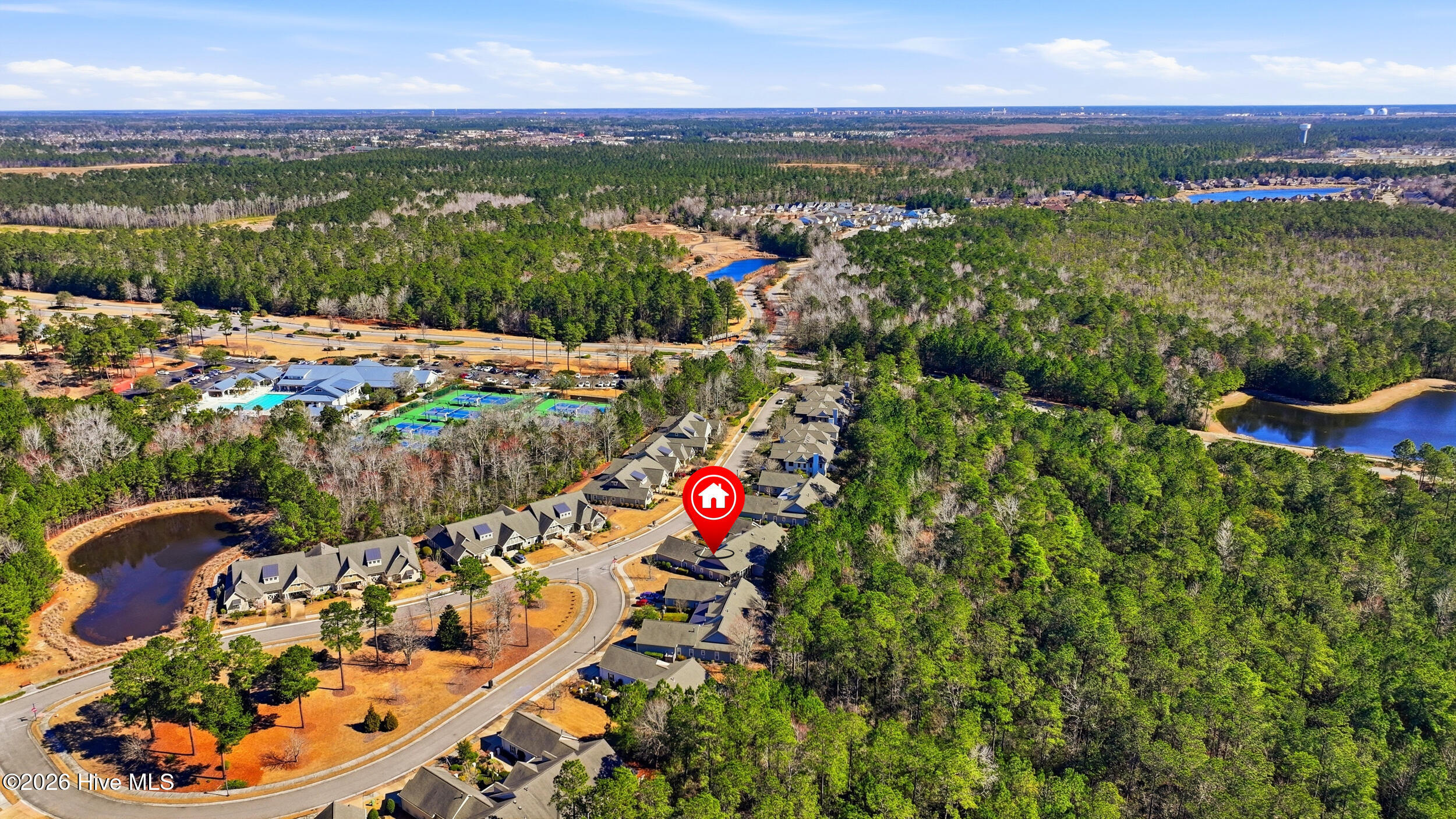 100556965 | Photo 50