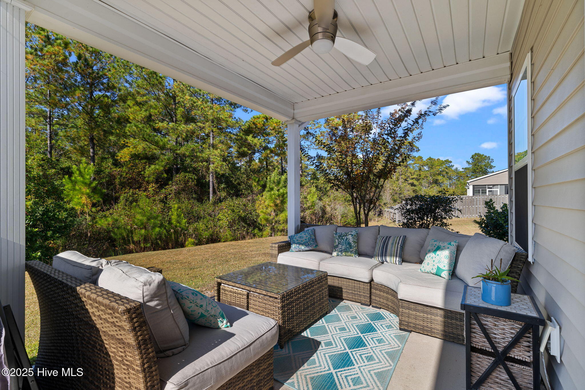 100541637 | Photo 44