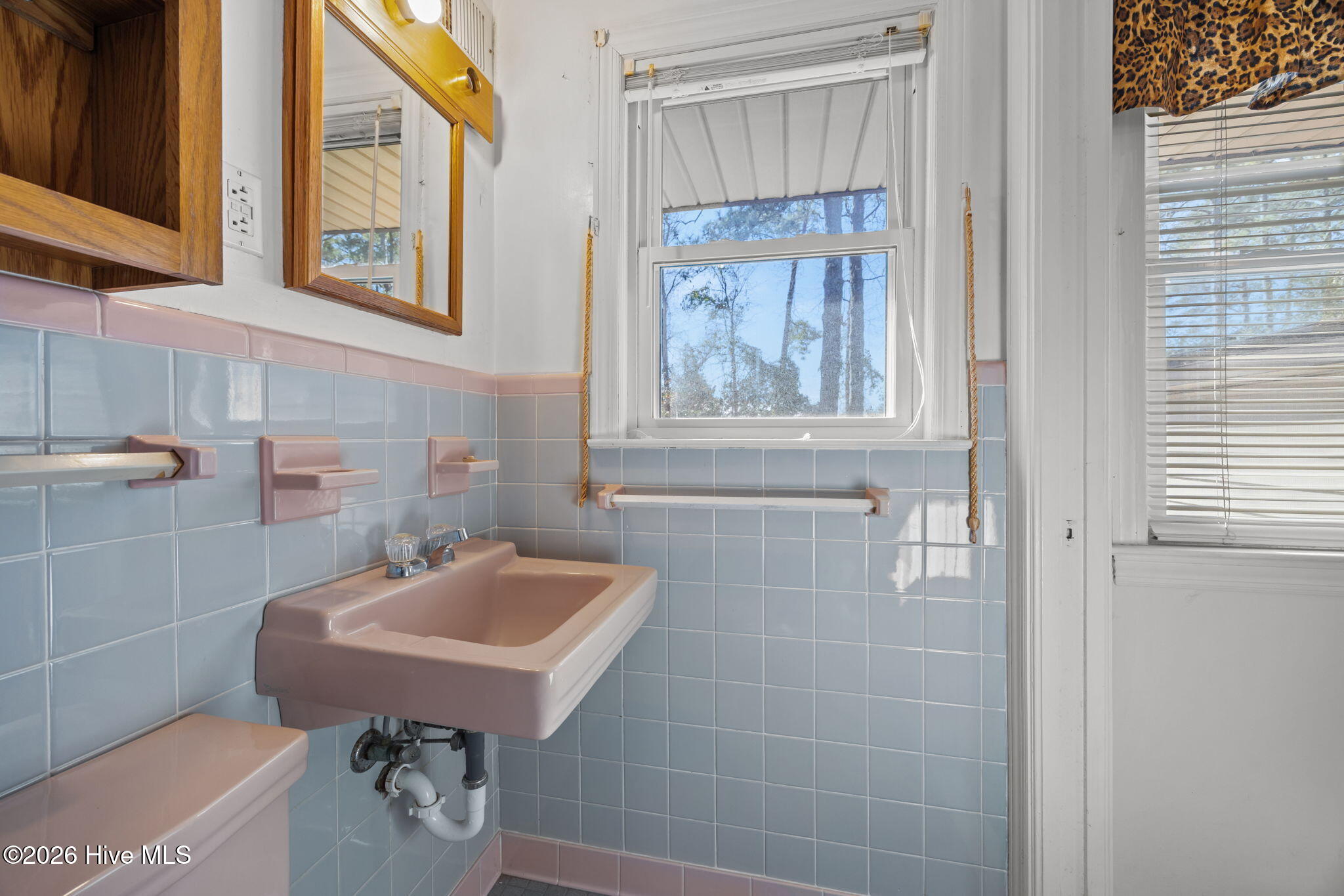 100547084 | Photo 17